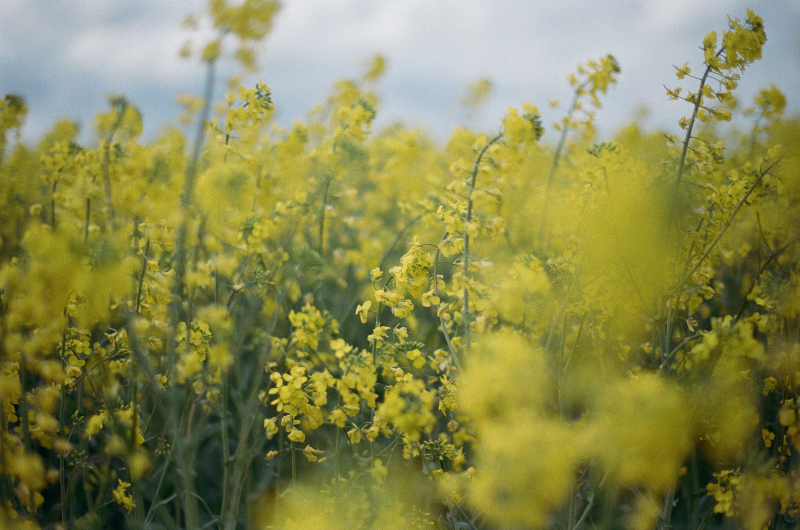 This time // ukraine, crimea II. EVER EXPOSED