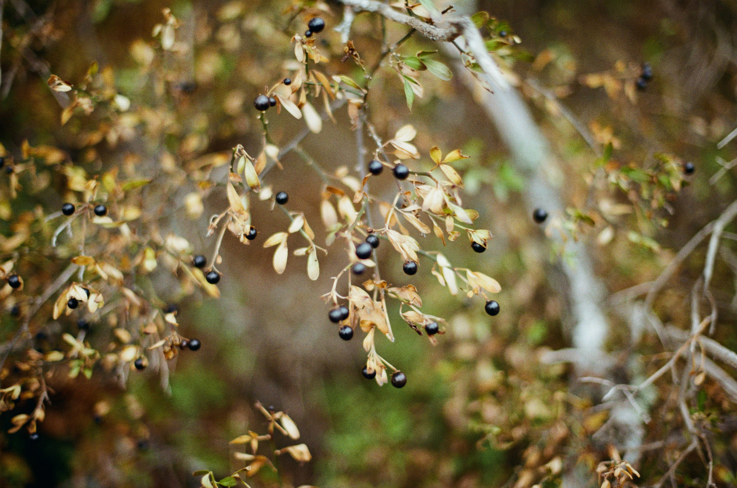 Wherever you will go // ukraine, crimea V. EVER EXPOSED
