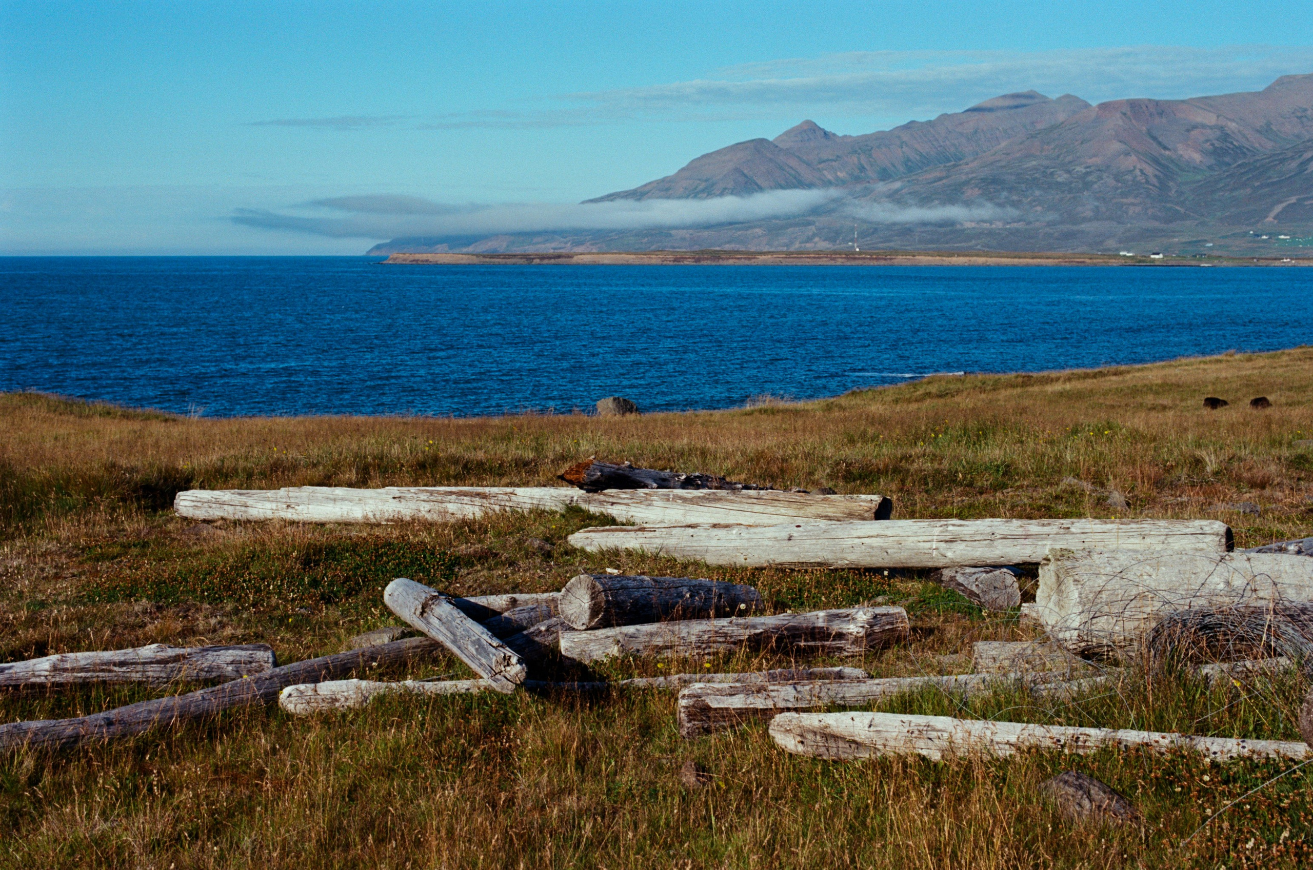 Bloodline // iceland, 76. EVER EXPOSED