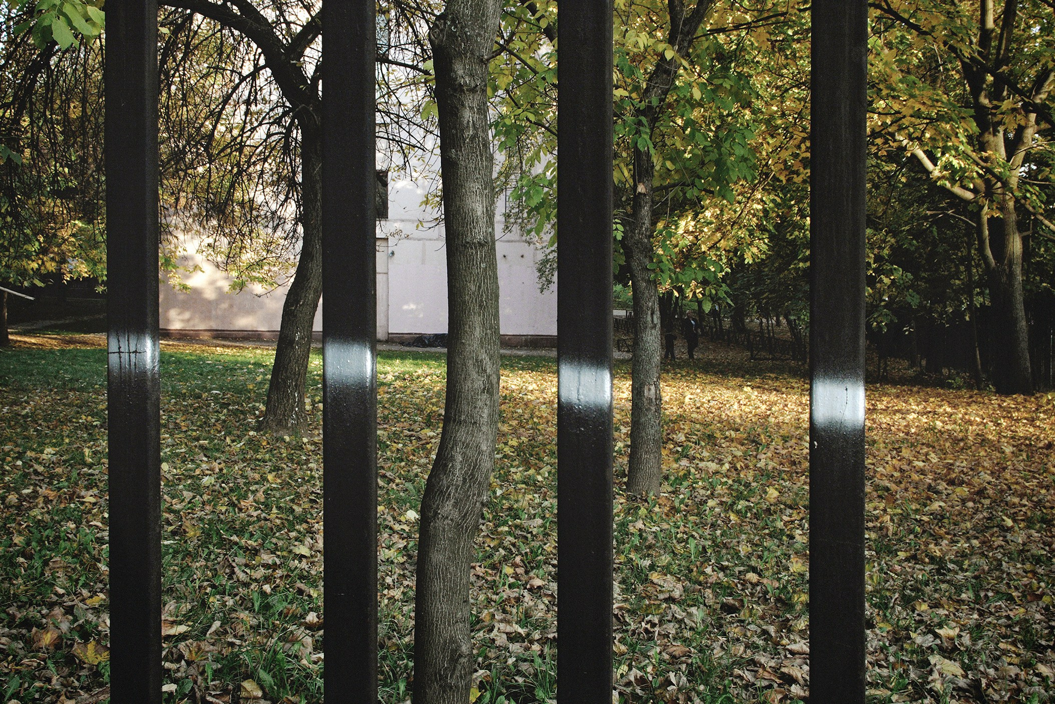 Симуляторы (Каталог № 1). Главная