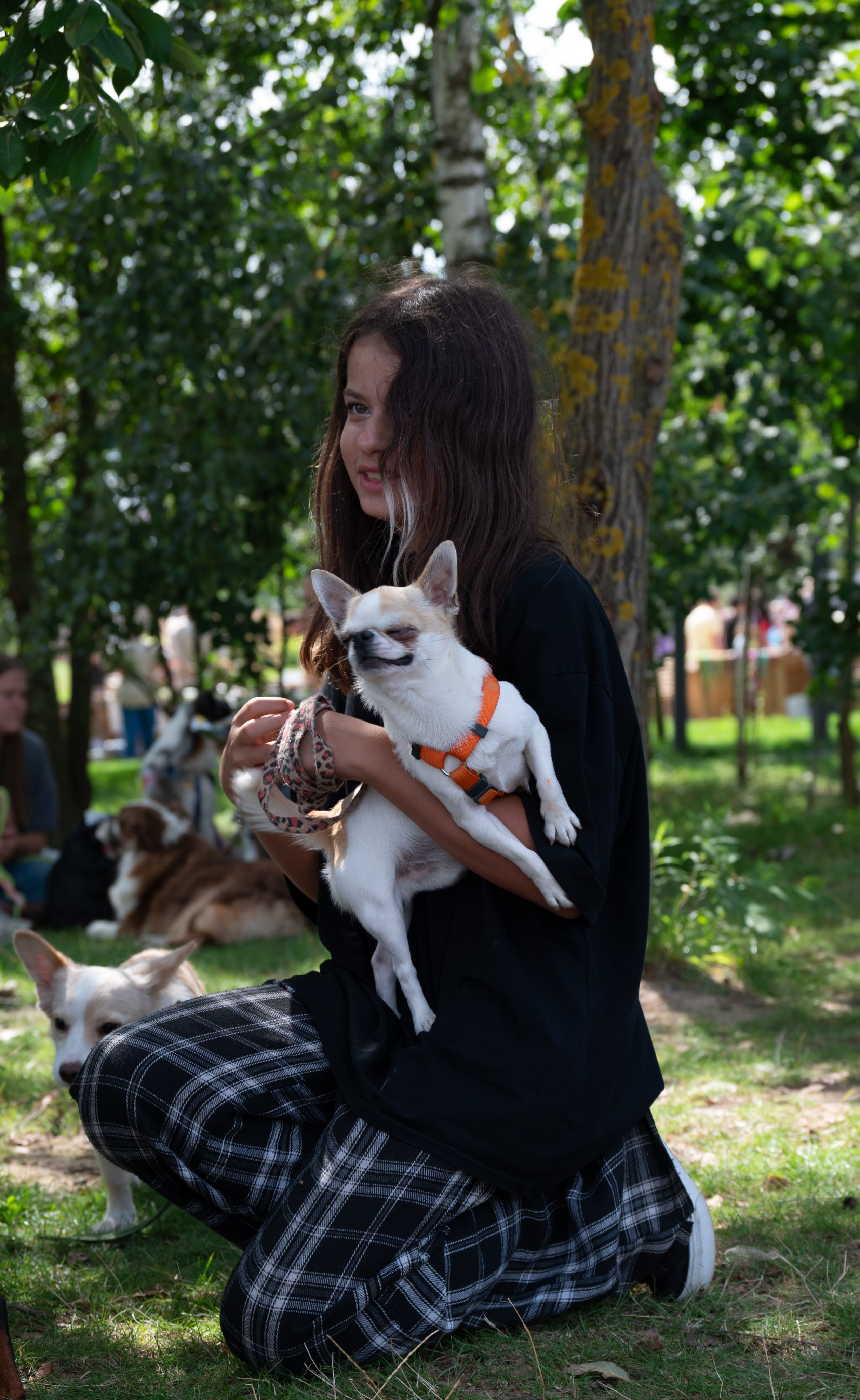 Pets Fest. Юлия Чайко, фотограф в Минске