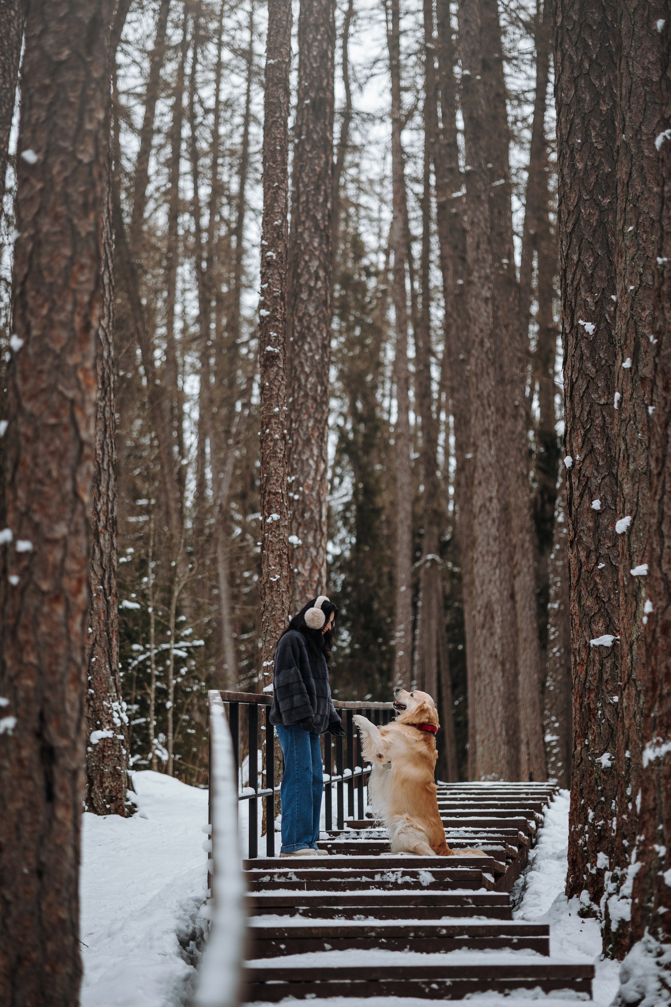 Вика и Лёва. Фотограф — Анималист | Санкт-Петербург