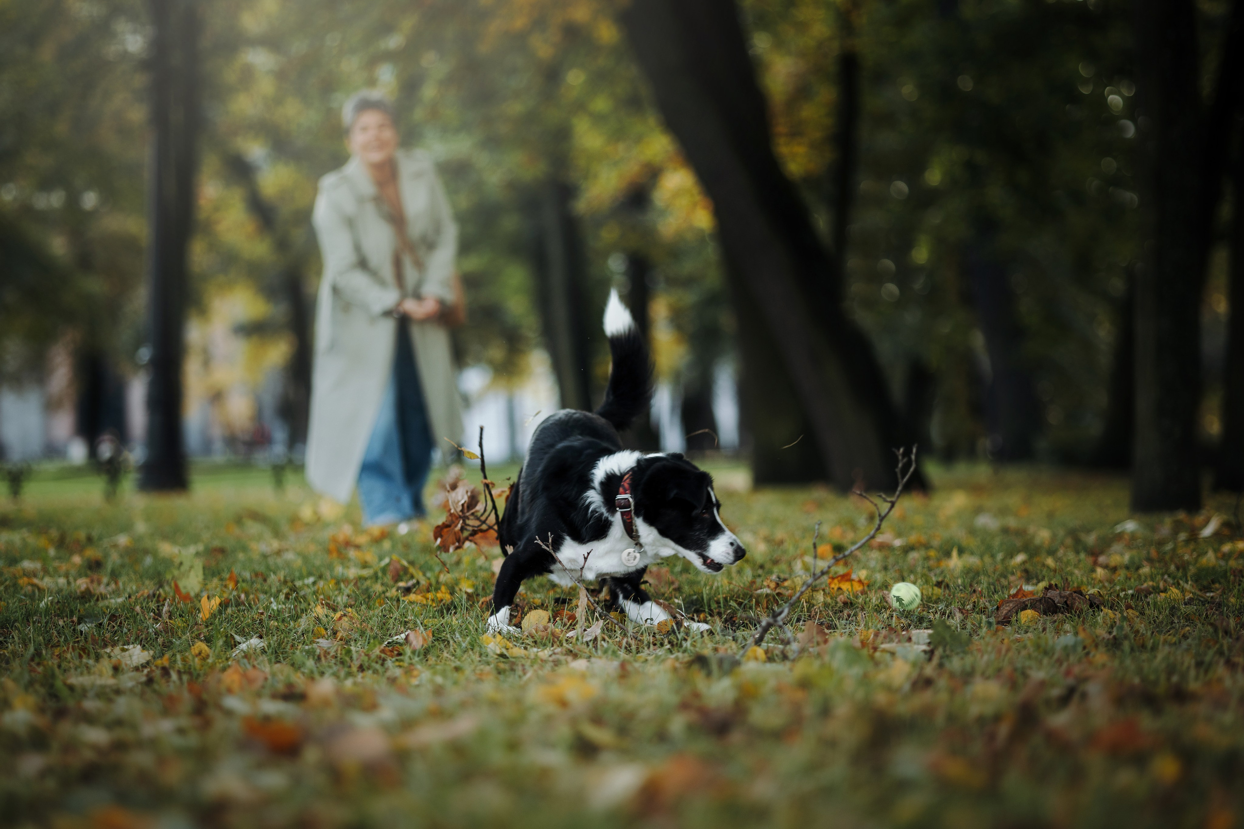 Мишель и ее семья. Фотограф — Анималист | Санкт-Петербург
