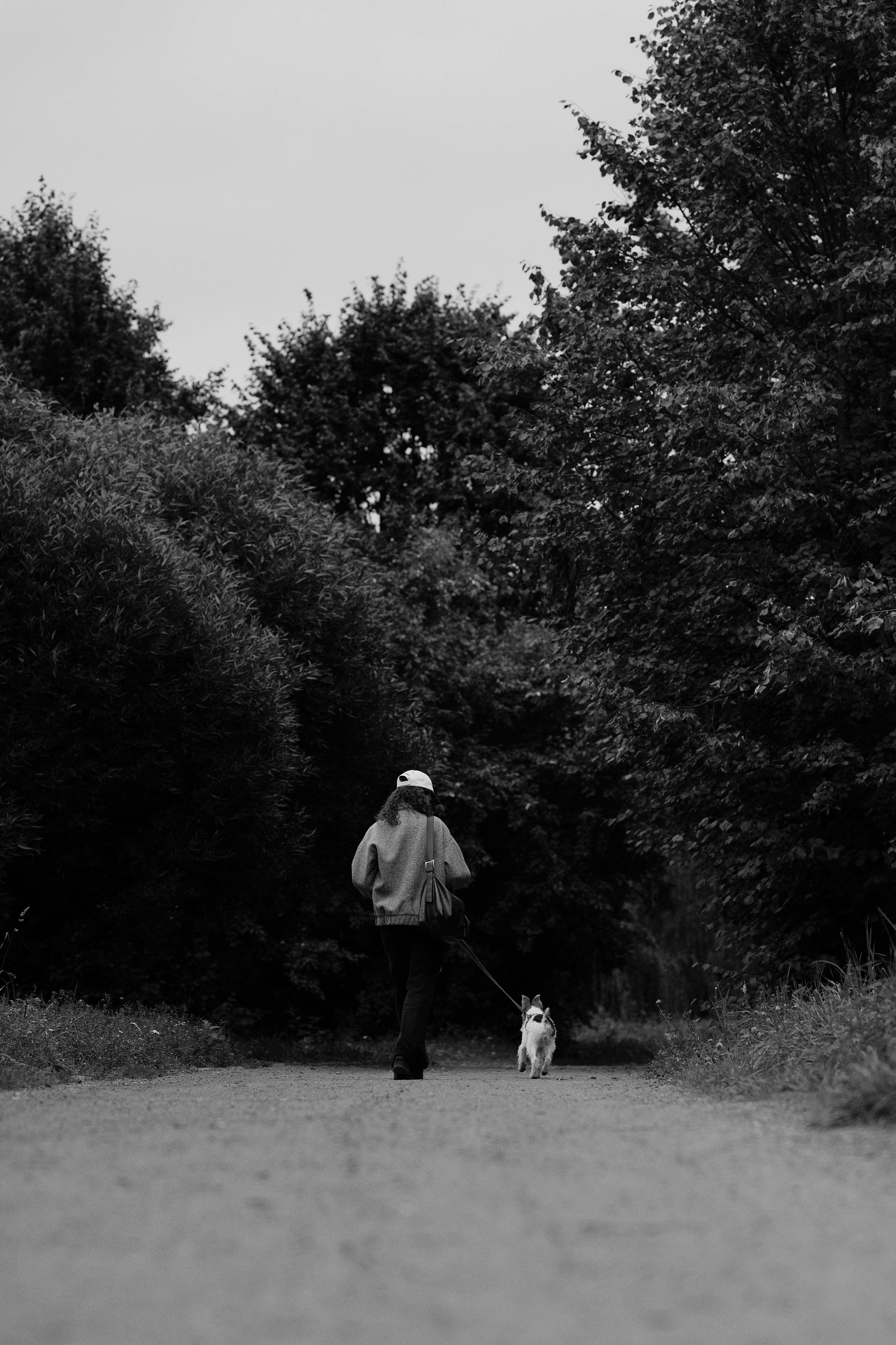 Мартин. Фотограф- анималист Александра Матвеева