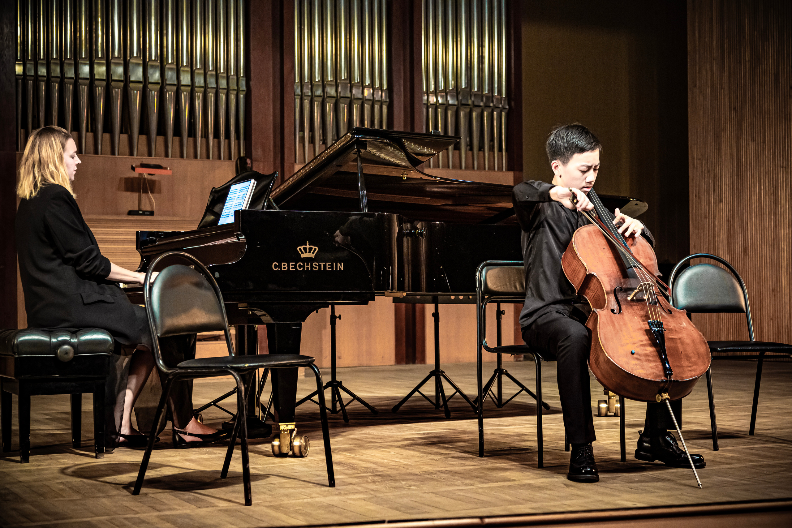 Концерт «Виолончель в 21 веке». Фотограф в Сочи Юрий Шептаев