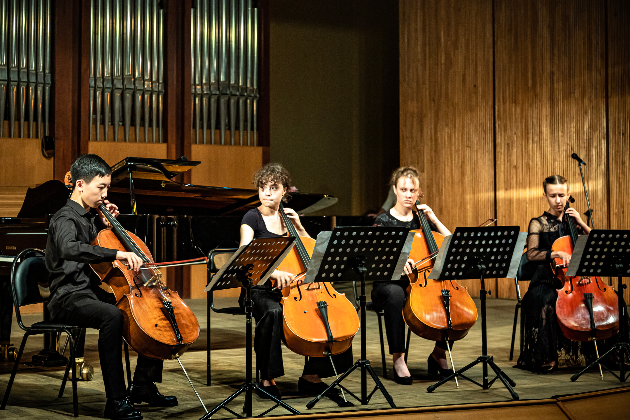 Концерт «Виолончель в 21 веке». Фотограф в Сочи Юрий Шептаев
