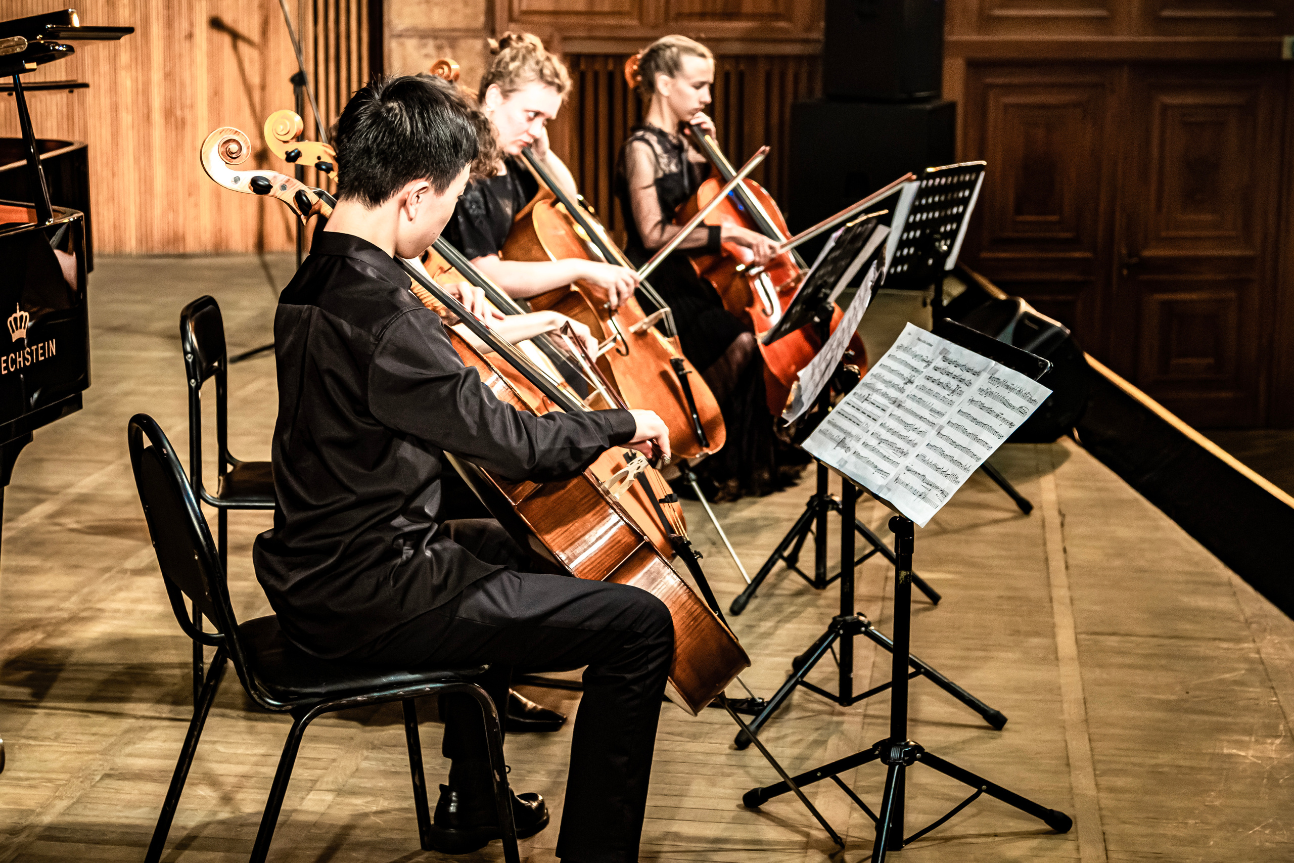 Концерт «Виолончель в 21 веке». Фотограф в Сочи Юрий Шептаев