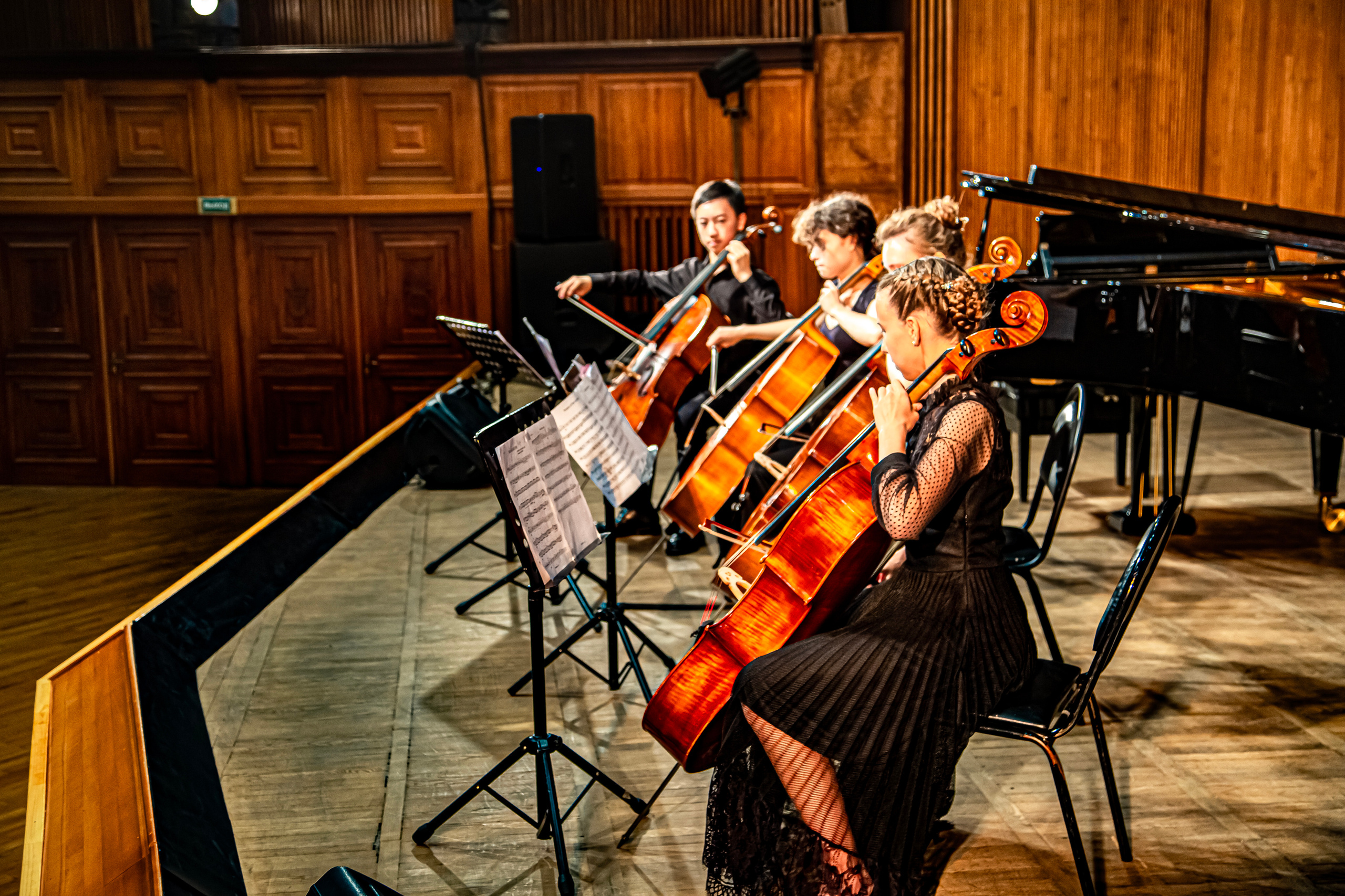 Концерт «Виолончель в 21 веке». Фотограф в Сочи Юрий Шептаев