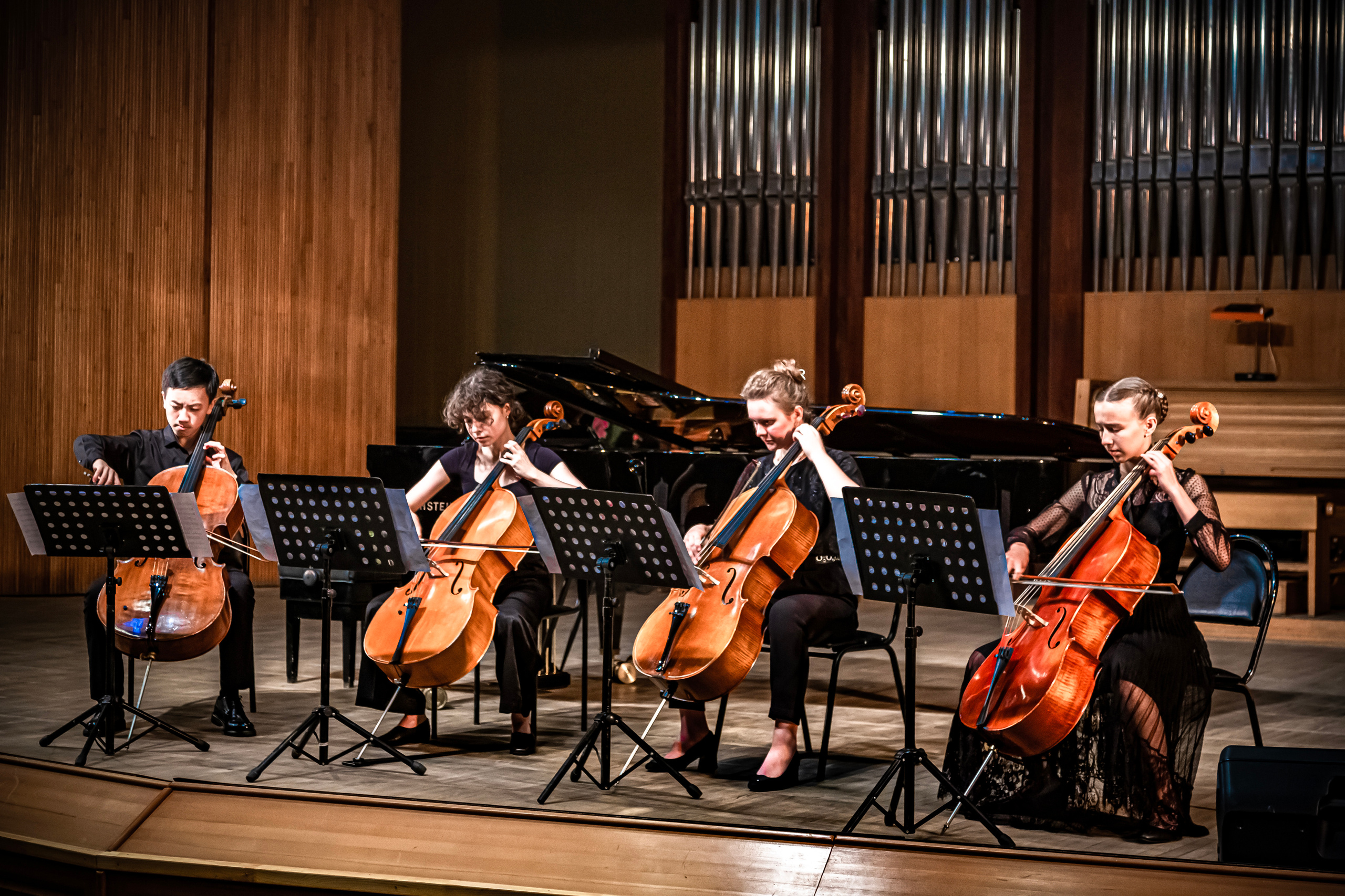 Концерт «Виолончель в 21 веке». Фотограф в Сочи Юрий Шептаев