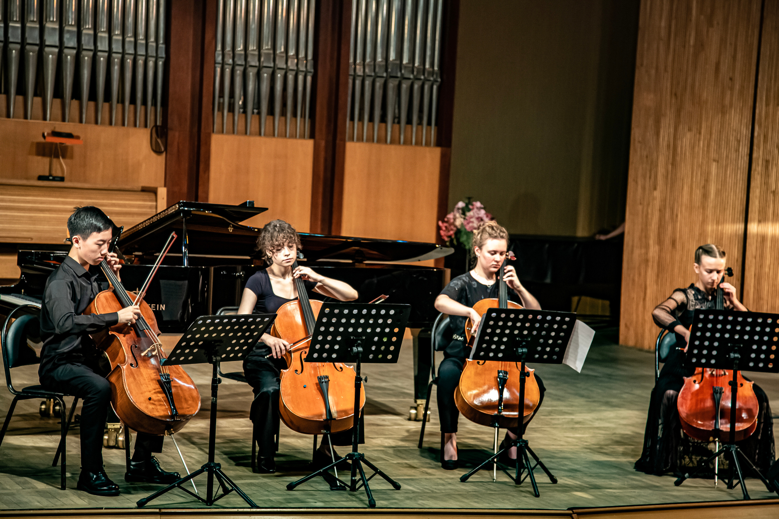Концерт «Виолончель в 21 веке». Фотограф в Сочи Юрий Шептаев