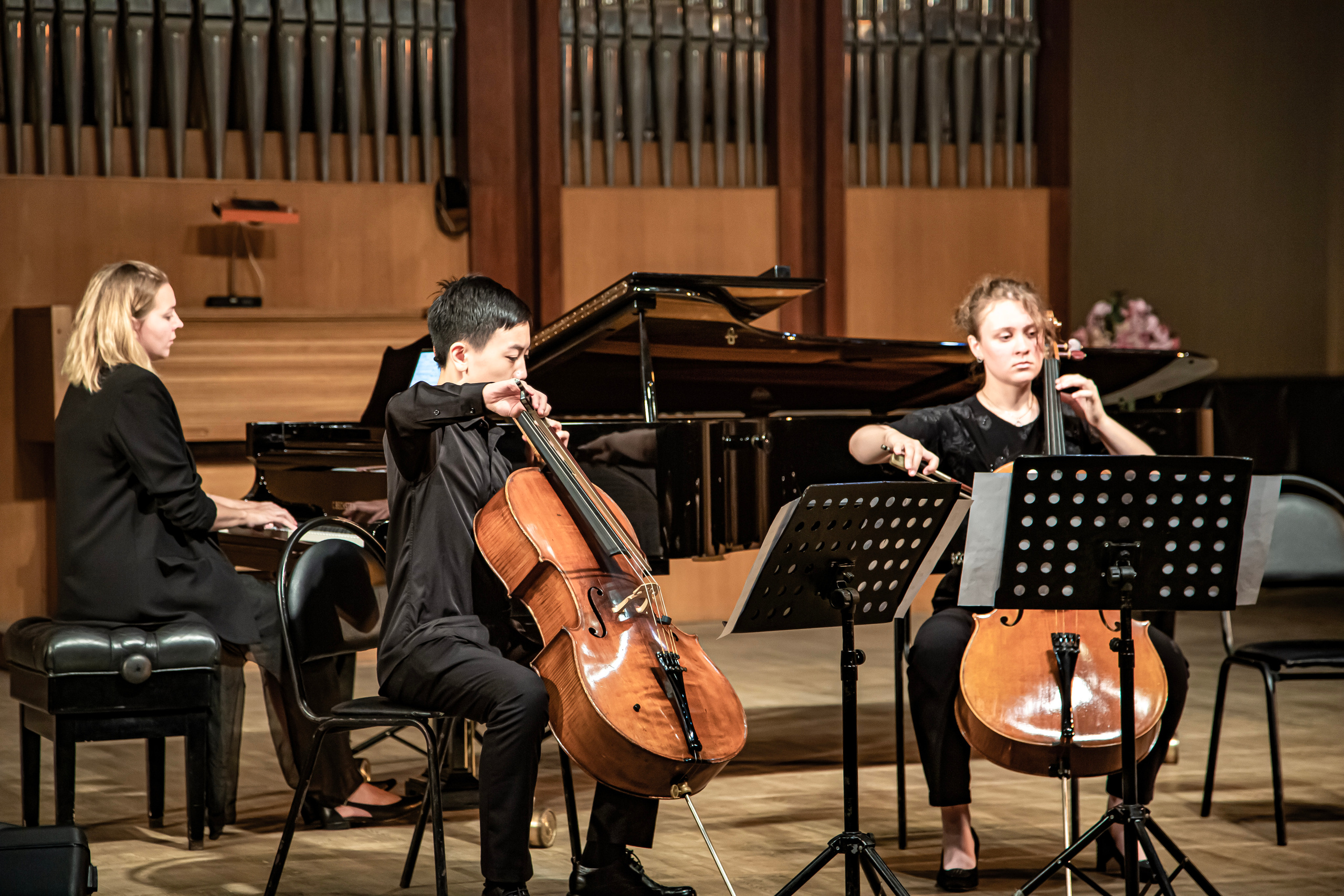 Концерт «Виолончель в 21 веке». Фотограф в Сочи Юрий Шептаев