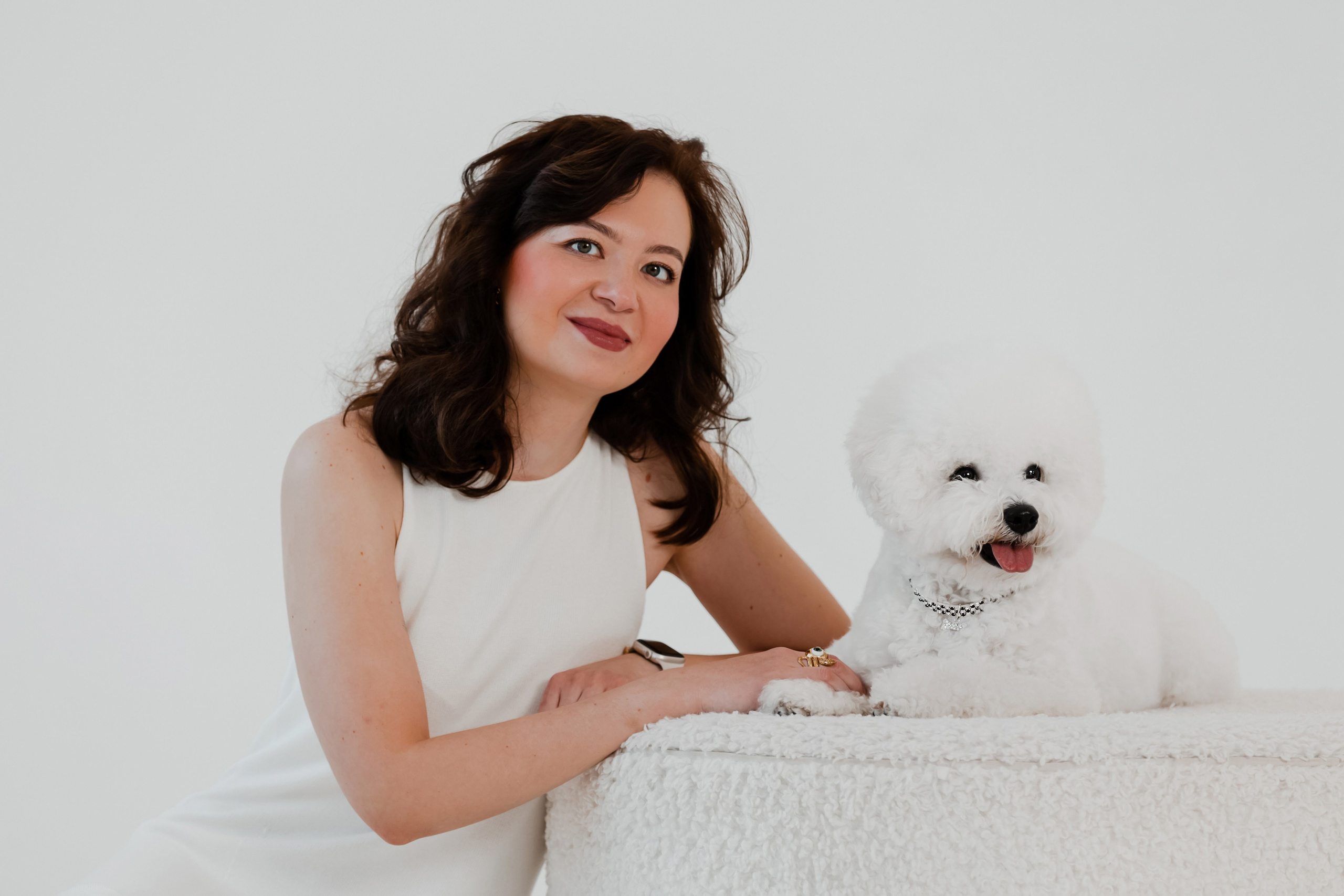 Бишон-фризе. Фотограф-анималист в Краснодаре Маша Мельникова