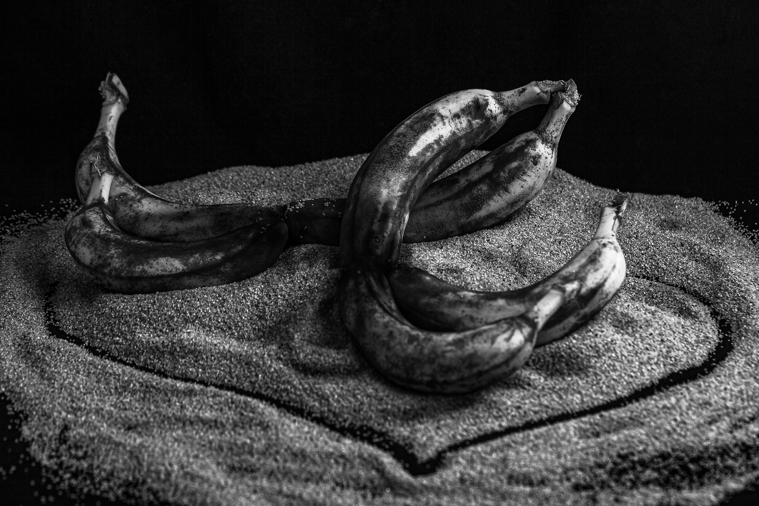 Красота тоже рядом с нами. Медиапродюсер, фотограф в Минеральных Водах —Виктор Холодов