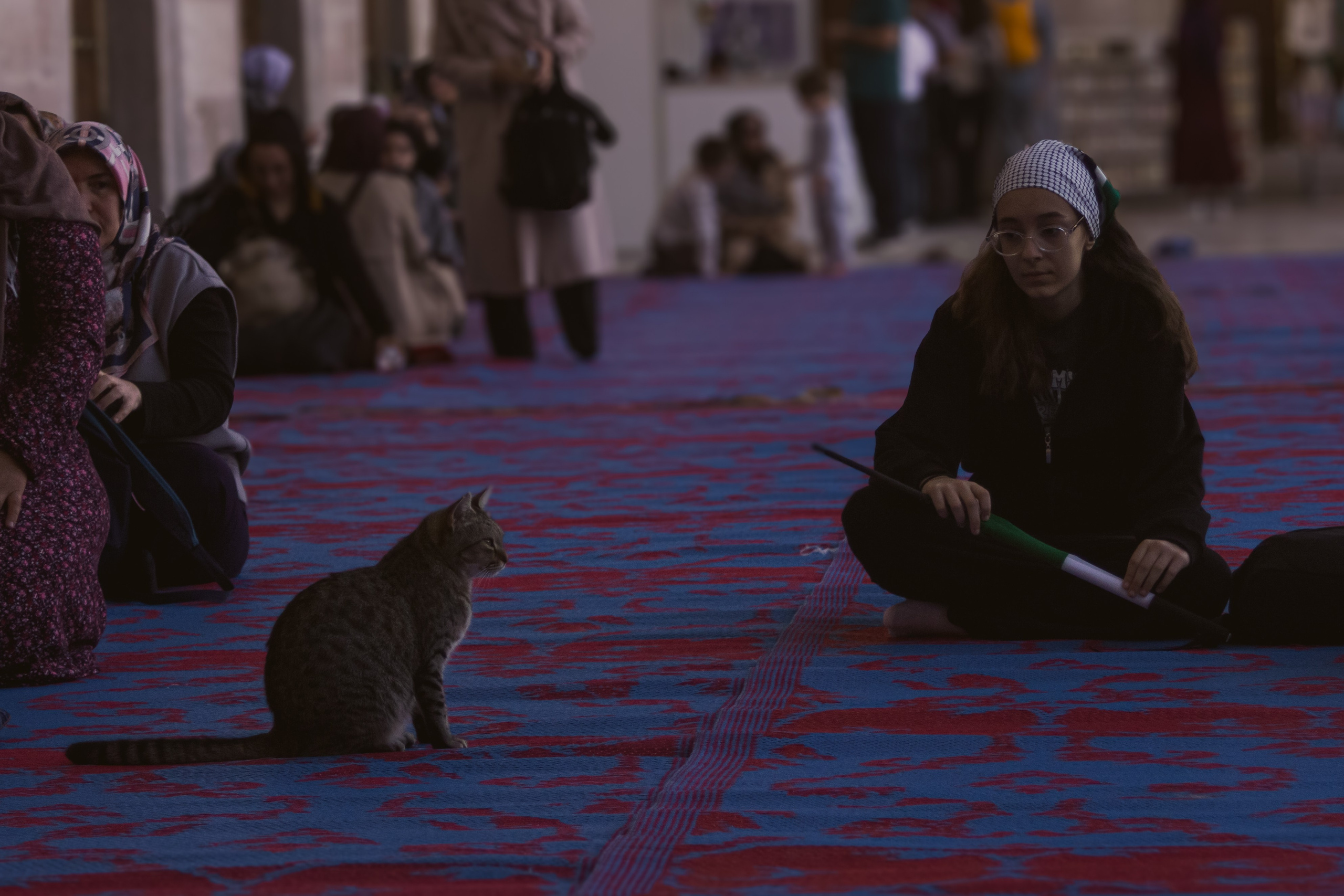 Животные. Фотограф Москва, портрет, стрит, репортаж. Художественная фотосессия