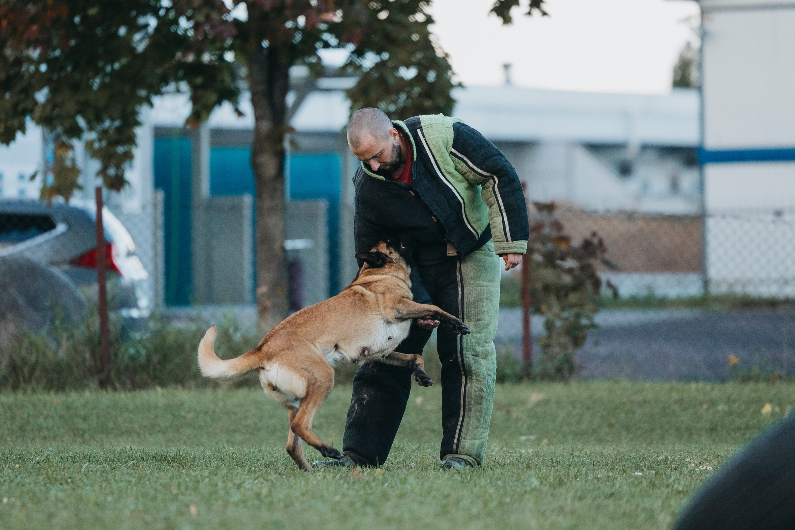 Испытания по мондьорингу г. Пушкин 29.09.2024. Фотограф-анималист Анна Маринич