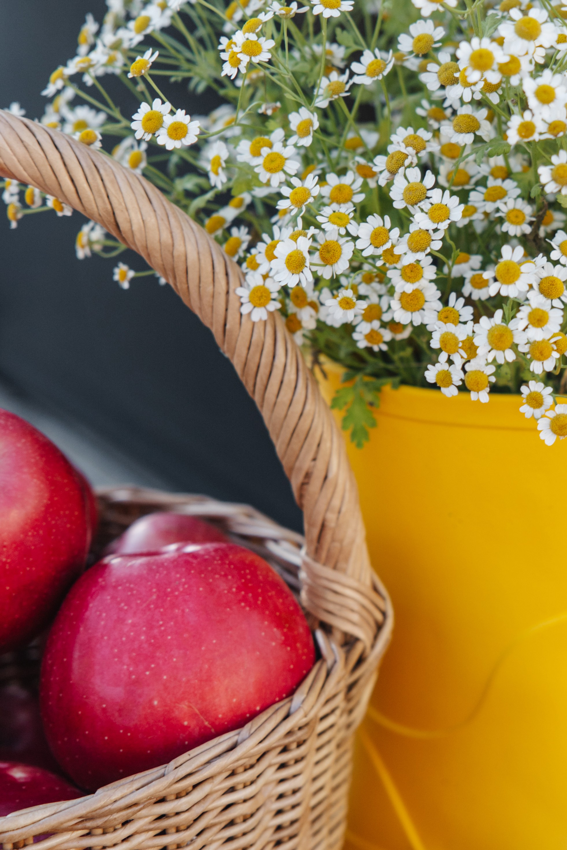 ГЕНДЕР ПАТИ. Фотограф в Красноярске