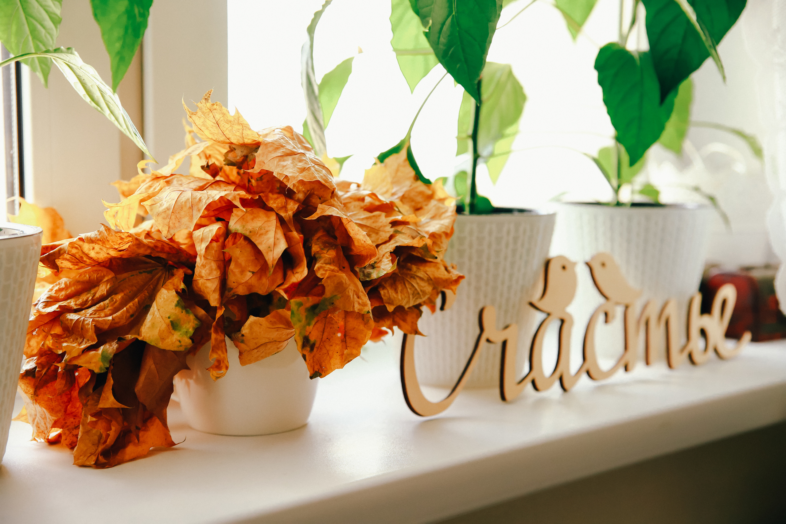 Мамино счастье. Детский и семейный фотограф в Москве Алёна Шестунова