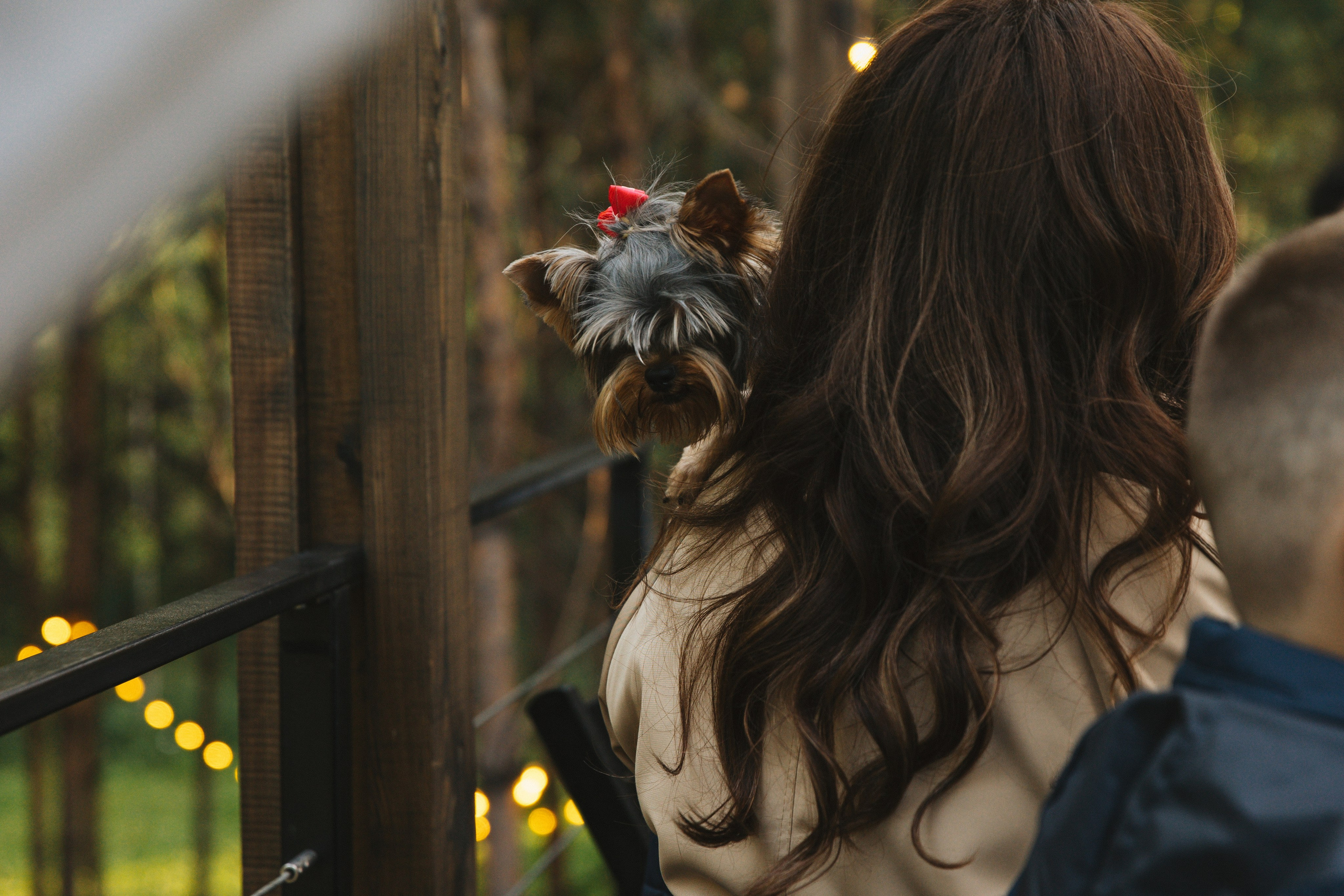 Y & A. Свадебный и семейный фотограф в Красноярске Абраменко Настя