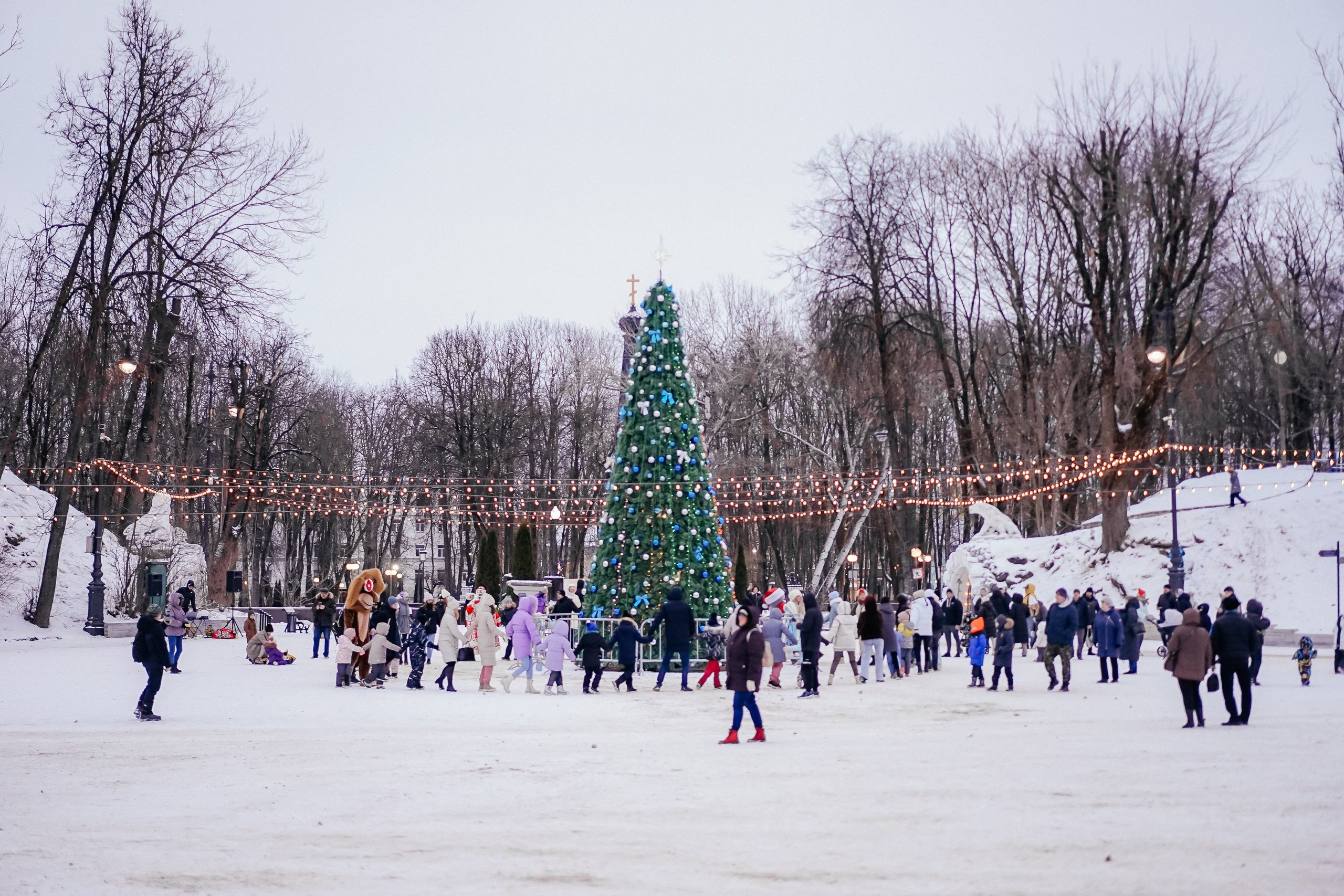 «Предновогодний переполох» Лопатинский сад, 14.12.2024. Фотограф и видеограф Смоленск | Студия Цезарь