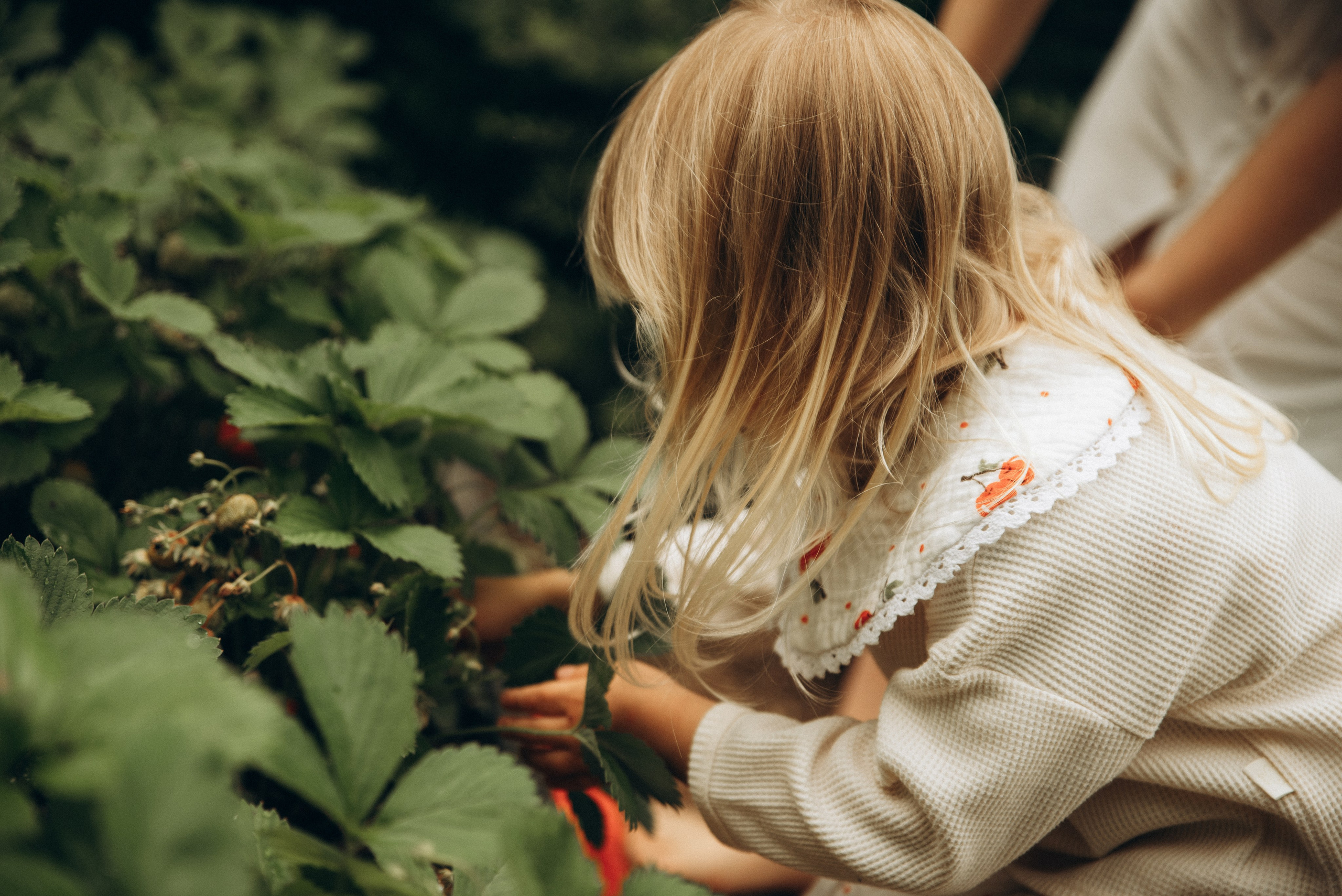 Ангелина и Есения. Семейный фотограф в Москве Дарья Пузикова