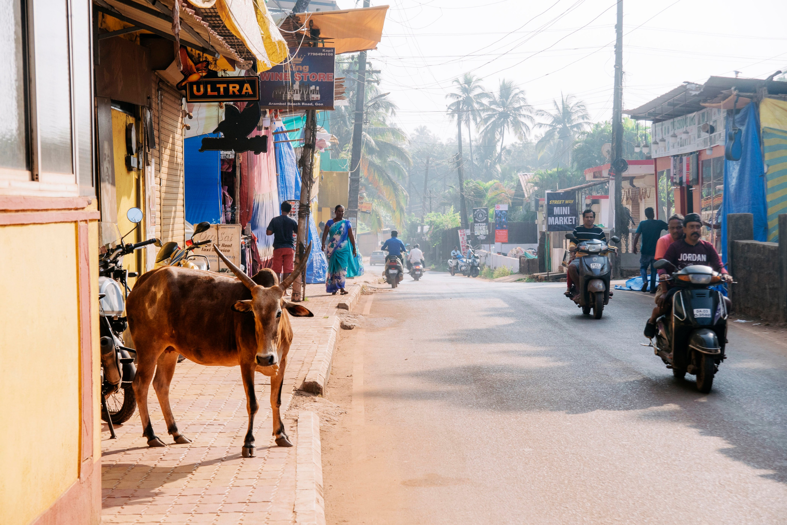 Гоа. индия. Iraogo