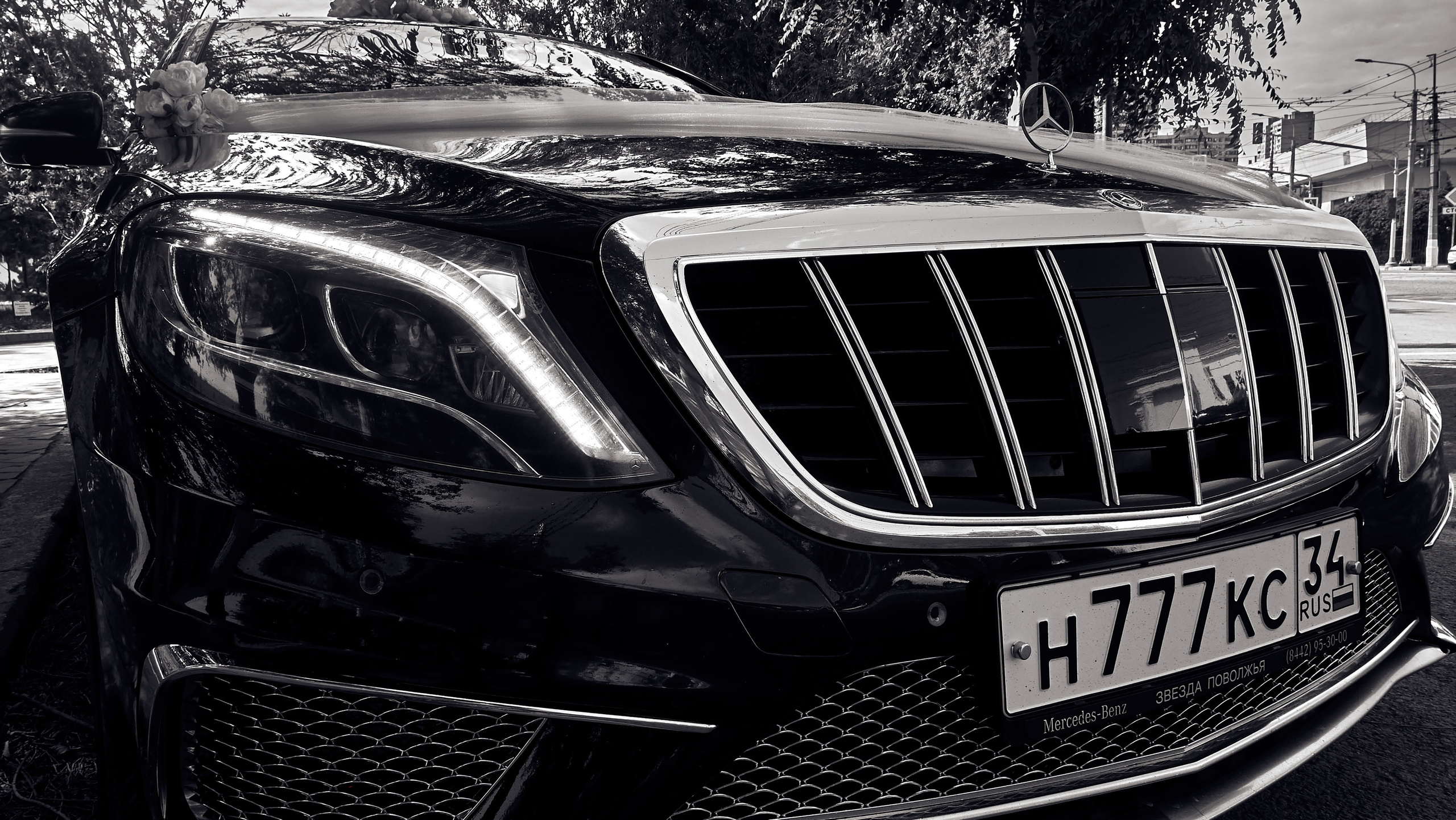 Сдержанность и харизма. Фотограф Волгоград Дмитрий Туманов