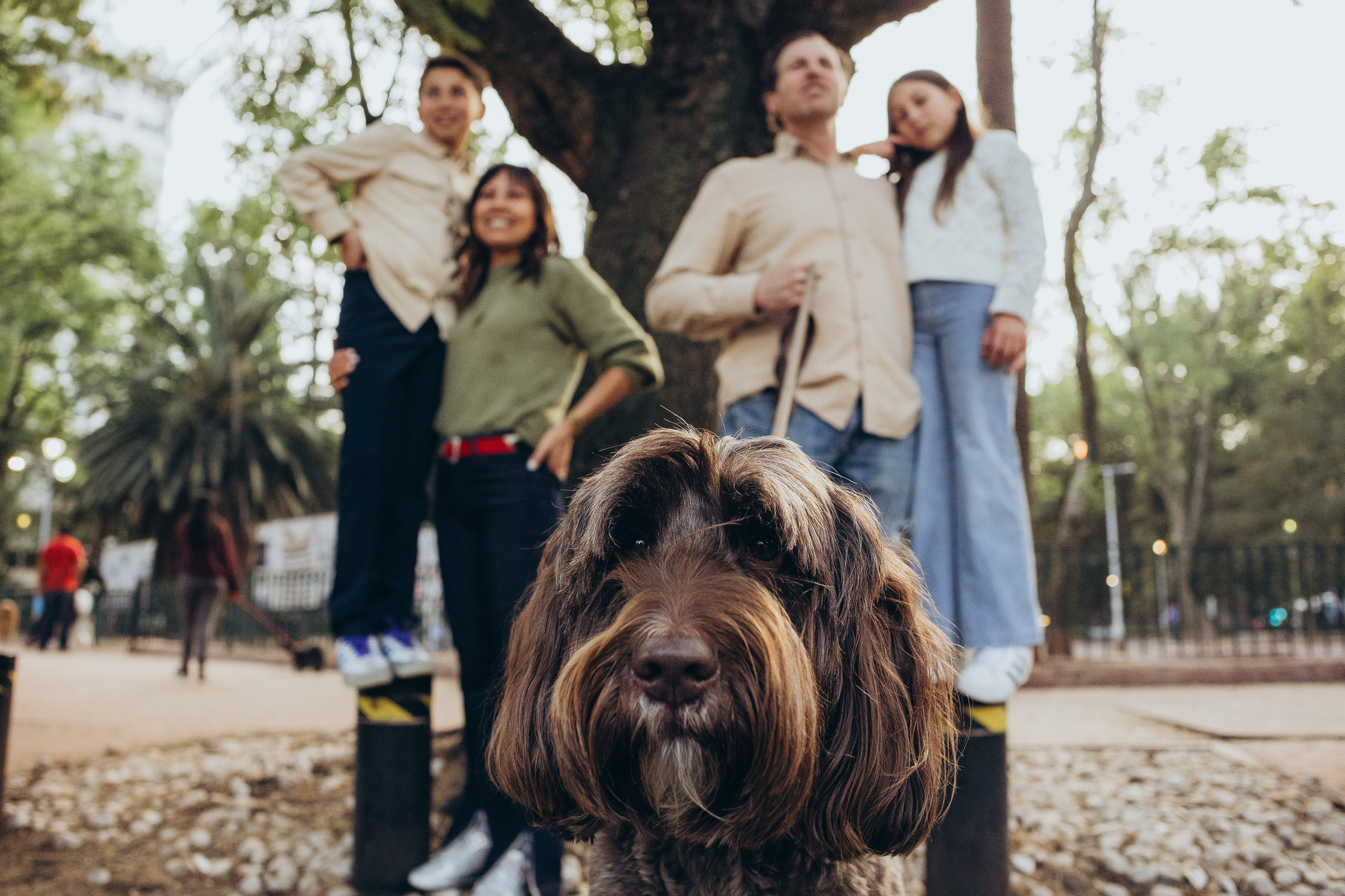 Атена, Роберт, Рави, Найа и Тахин. Irina Krokhaleva. Family & couple photographer in Yekaterinburg, Russia
