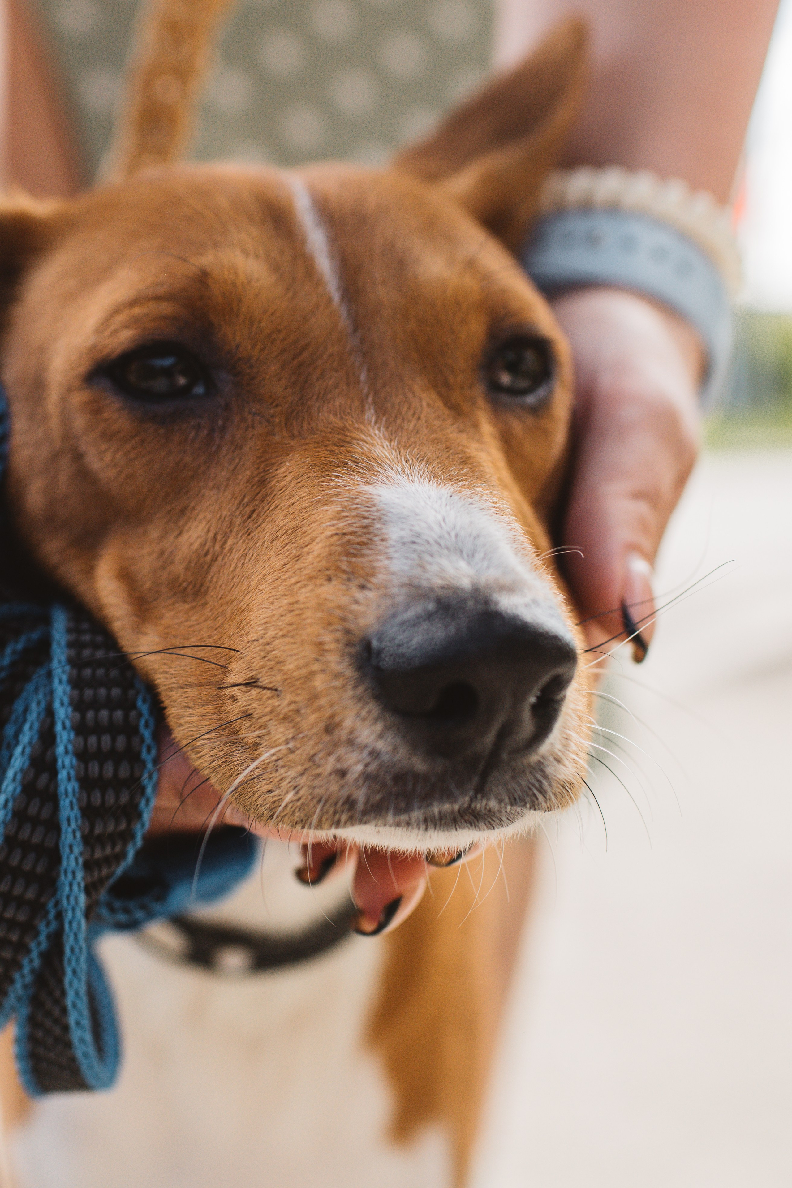 Вместе хорошо. Сайт портфолио