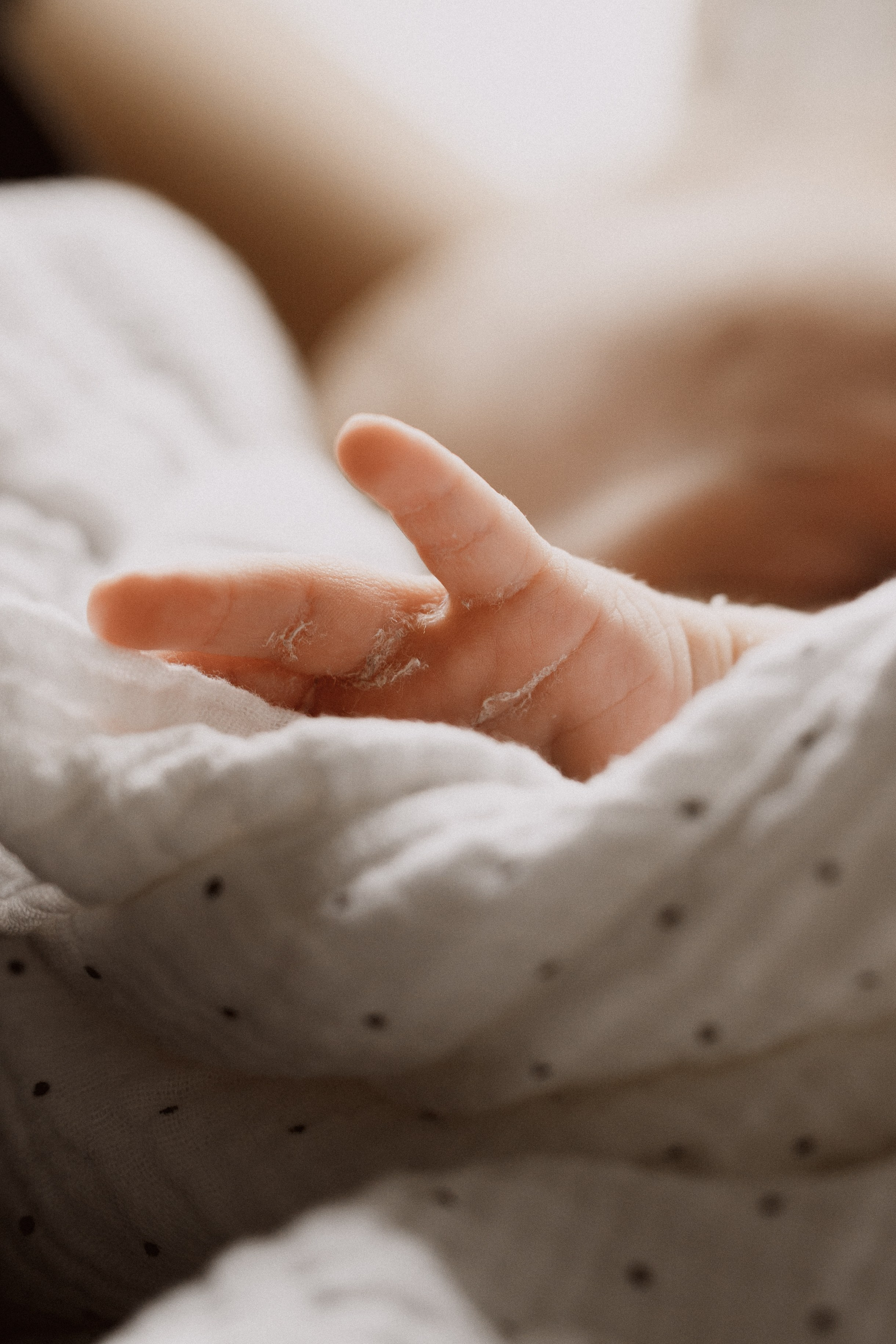 Ньюборн. Семейный фотограф в Москве Полина Курданина