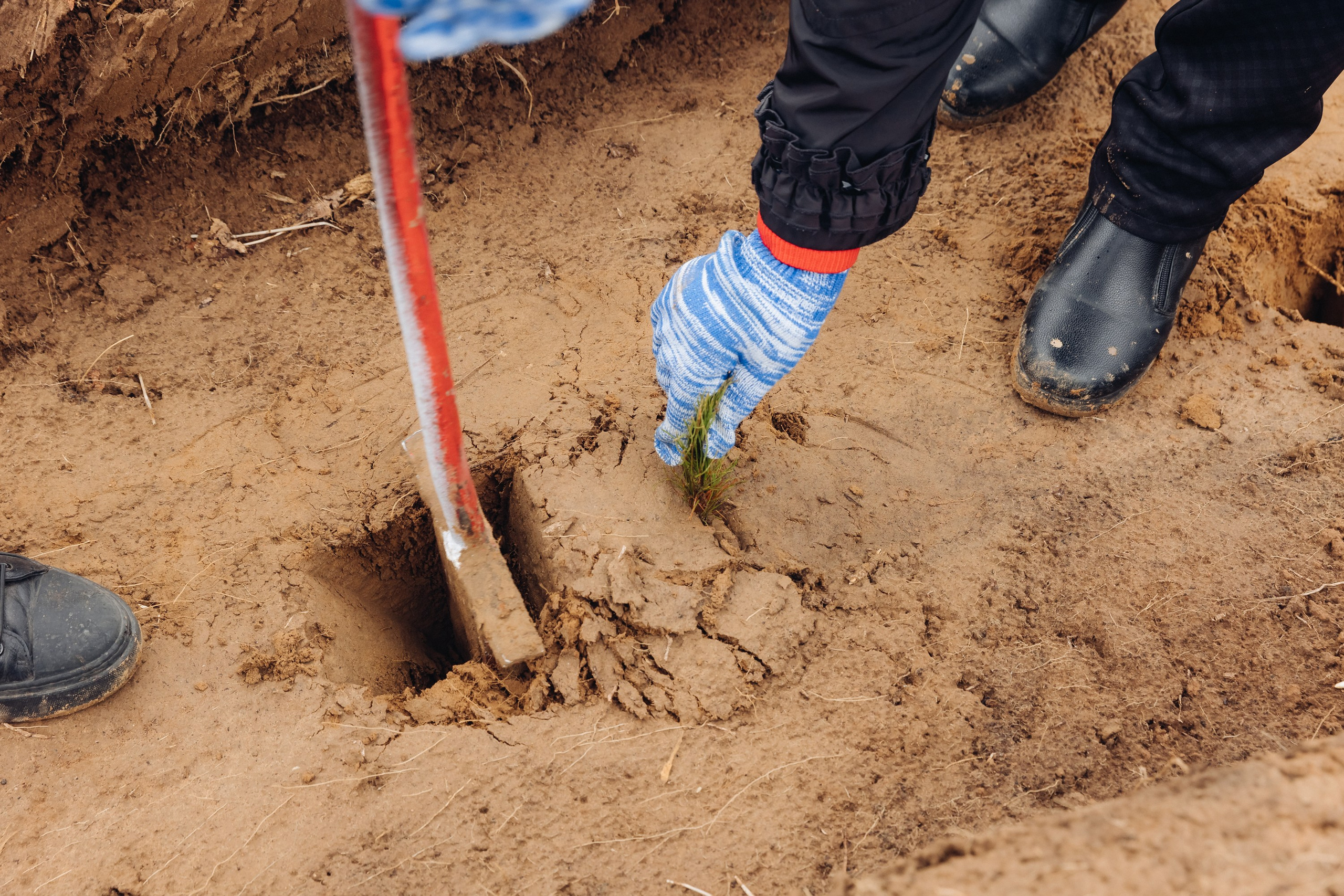 Siberian wellness. Ежегодная акция по посадке деревьев. Свадебный и семейный фотограф в Улан-Удэ