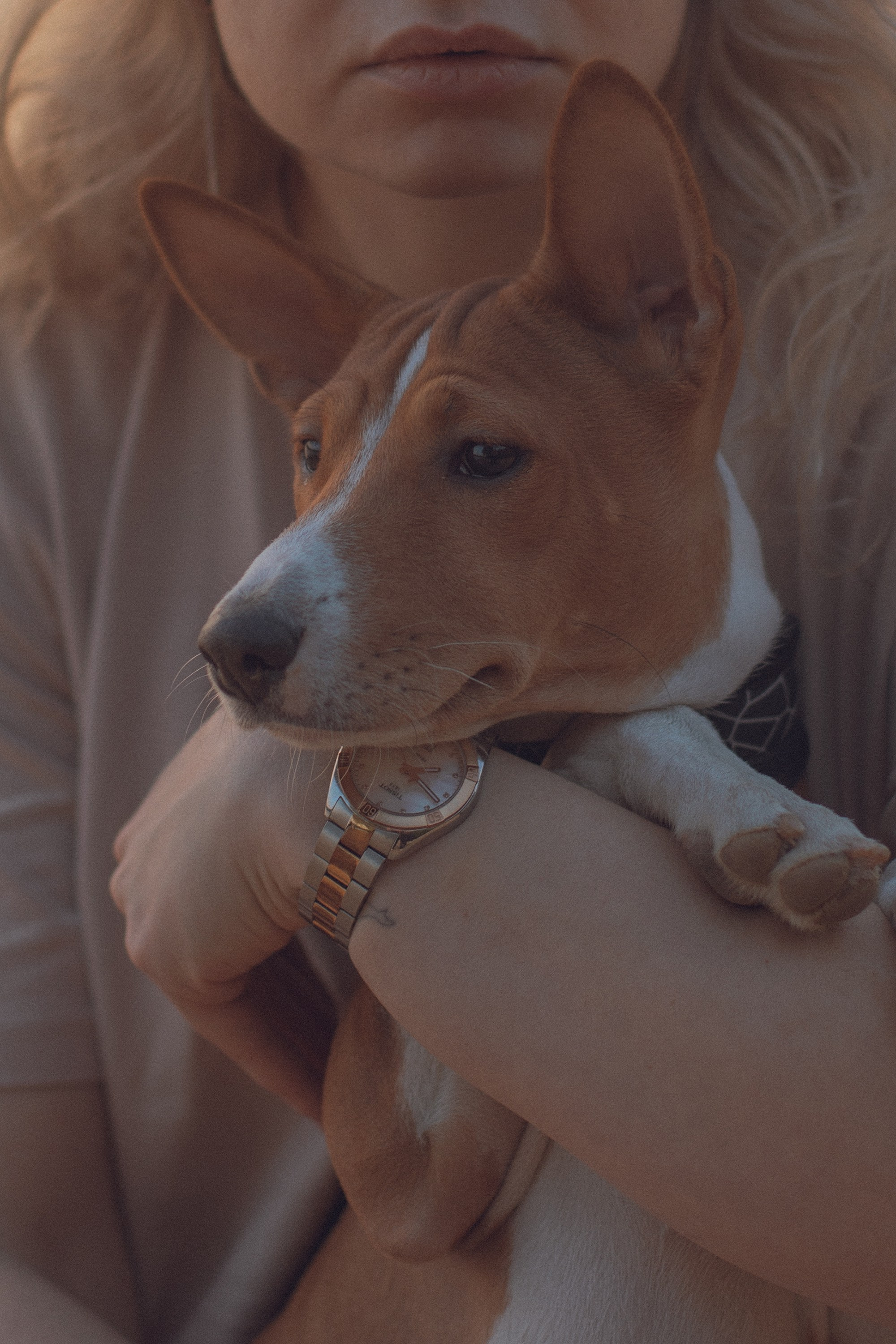 Фотосессия с питомцем. Бьюти- и портретный фотограф в Москве Полли Максимова. Создаю съёмки и делаю ретушь для брендов косметики и рекламы