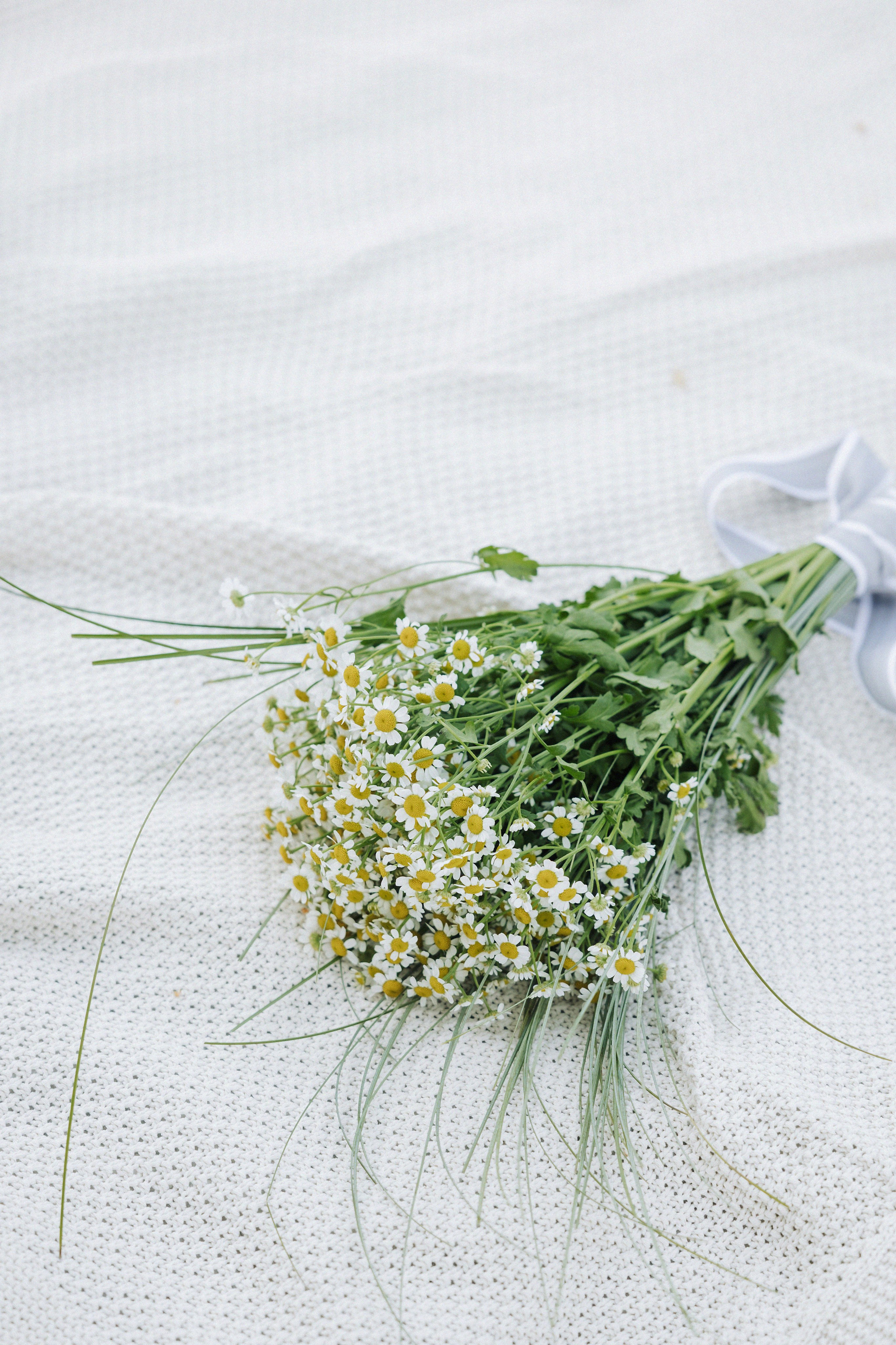 Илья и Настя. Свадебный фотограф в Рязани и Москве Евгения Жмурова