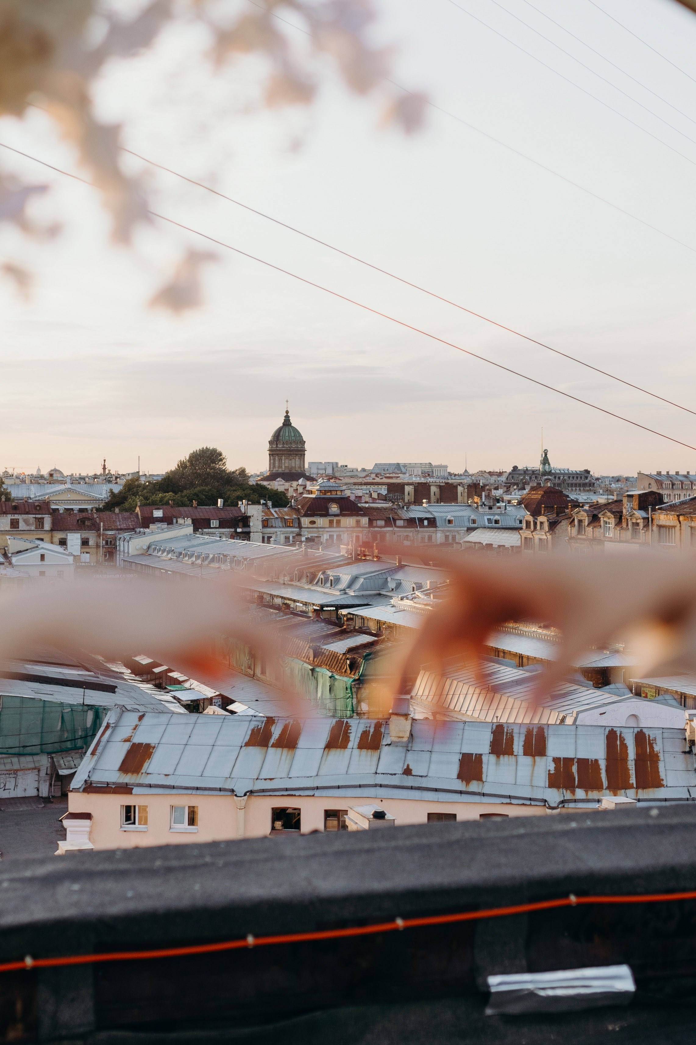 Wedding day 1.08.23. Свадебный фотограф в Санкт-Петербурге
