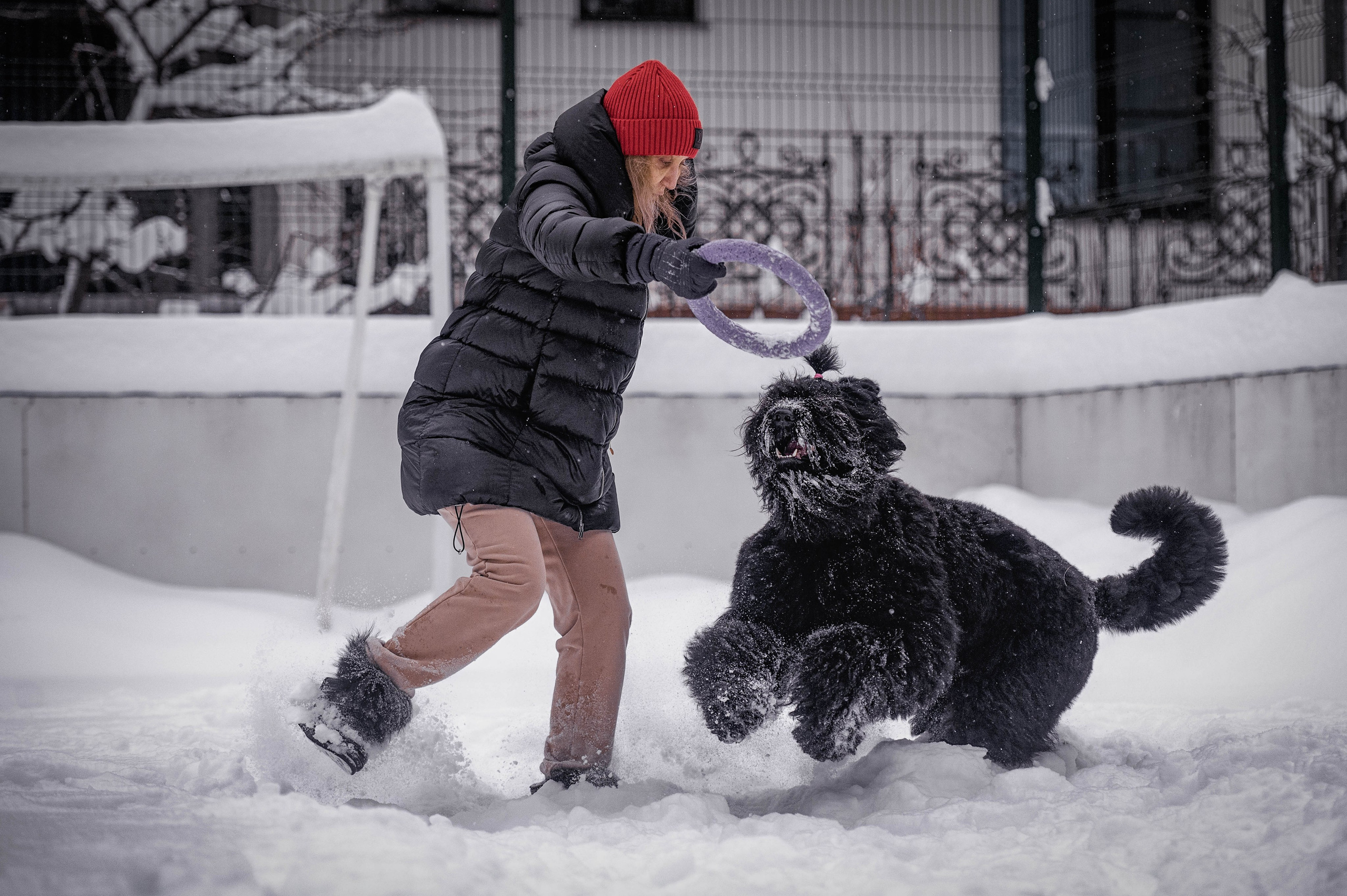 Клео. Фотограф-анималист