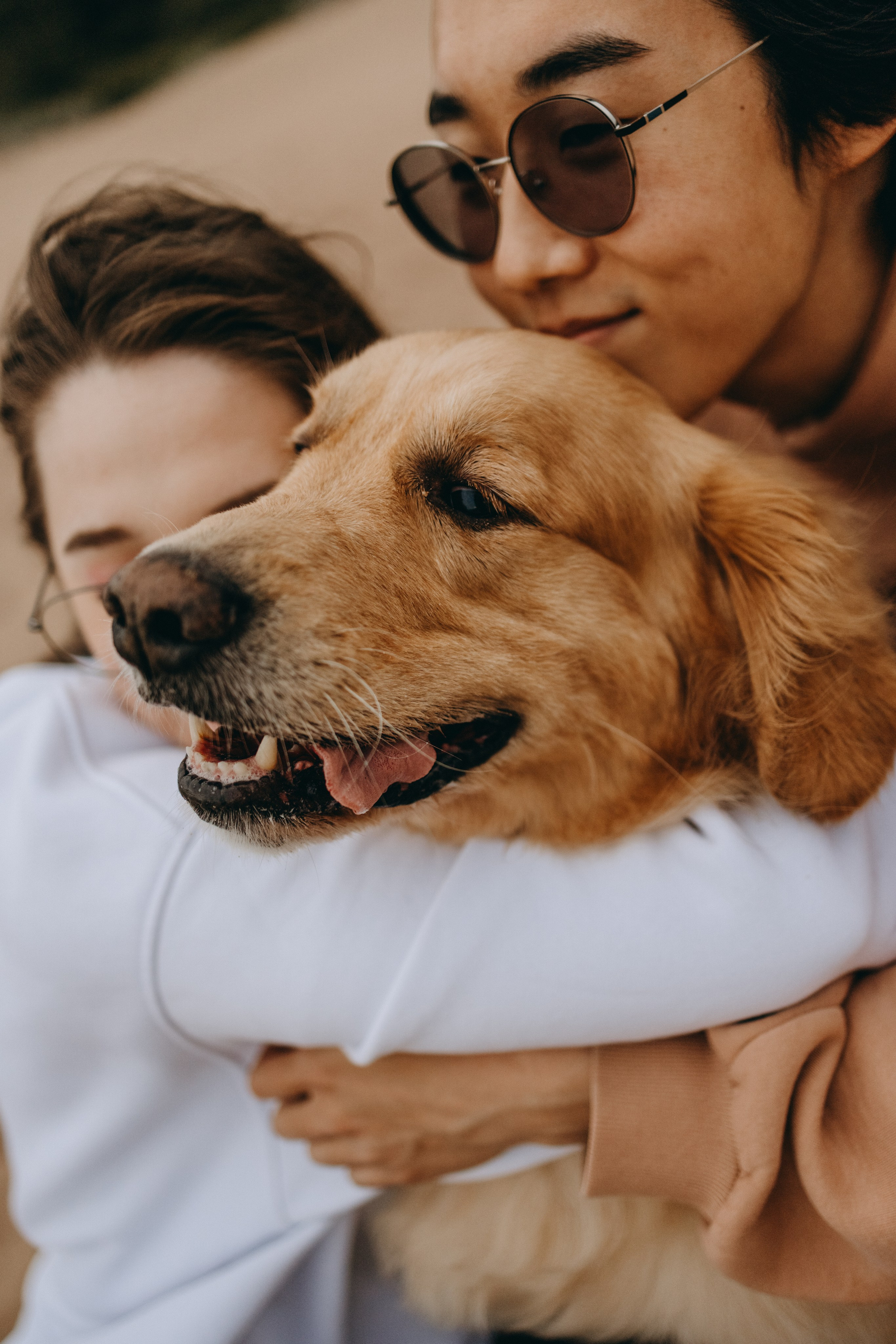 Фоси и его семьи. Фотограф — Анималист | Санкт-Петербург