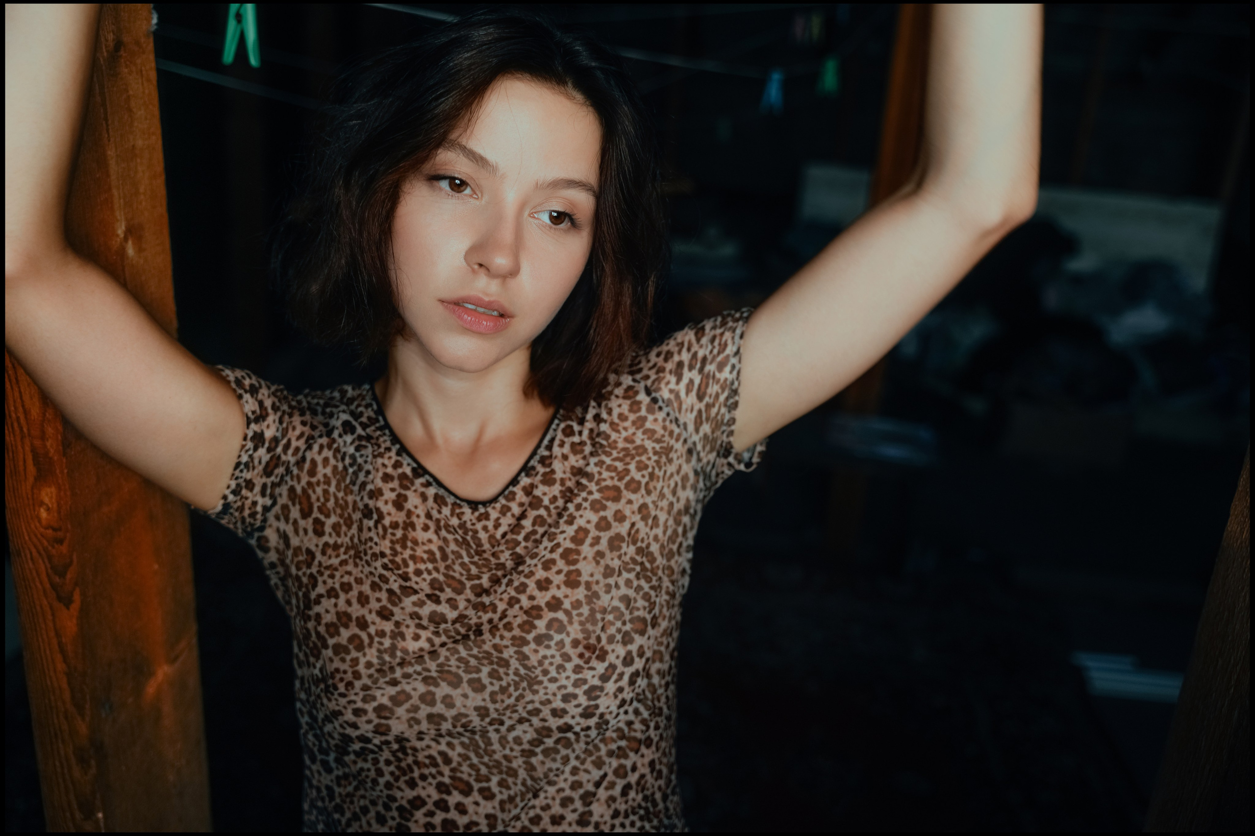 Бабушкин чердак. VISUAL ARTIST · KRONGAUZ ANASTASIA