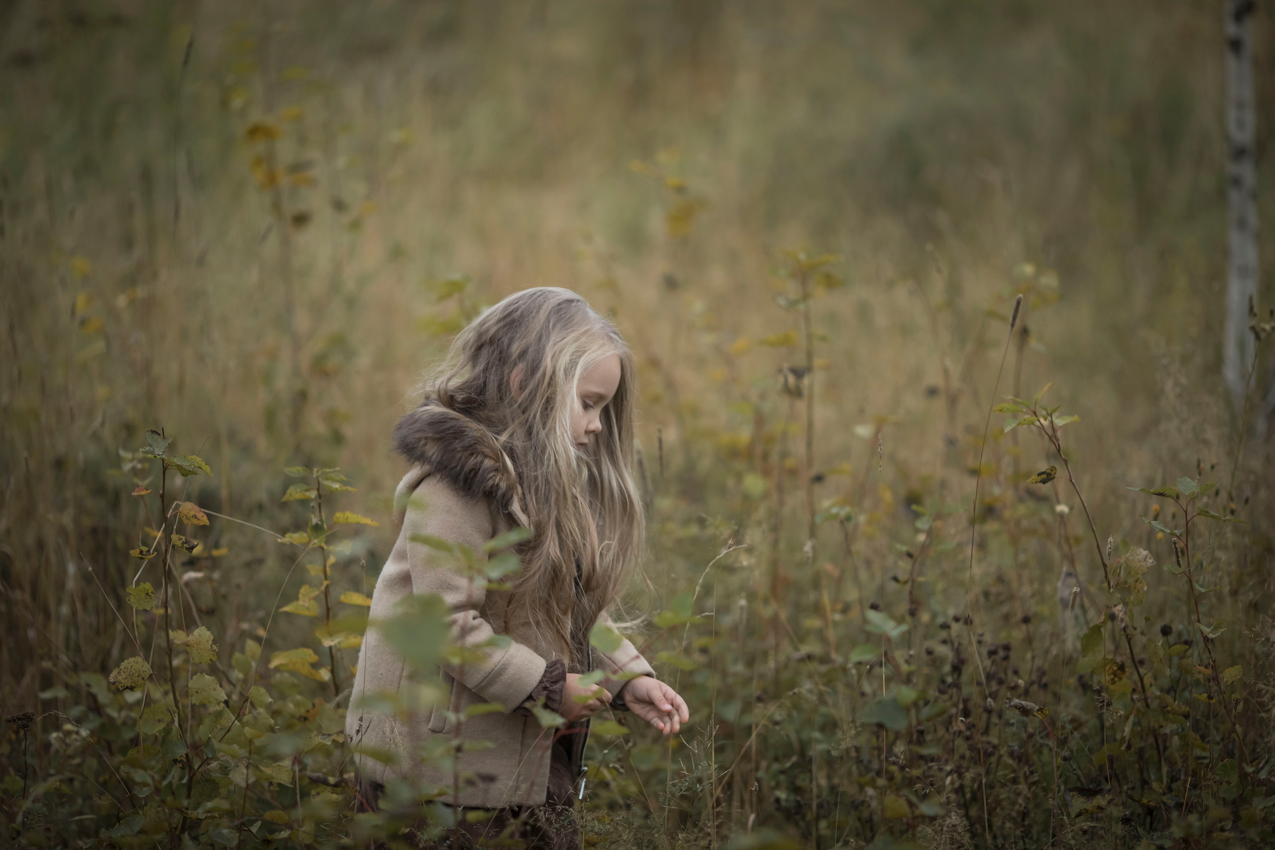 Парк отель Белые аллеи. Арт- фотограф Москва