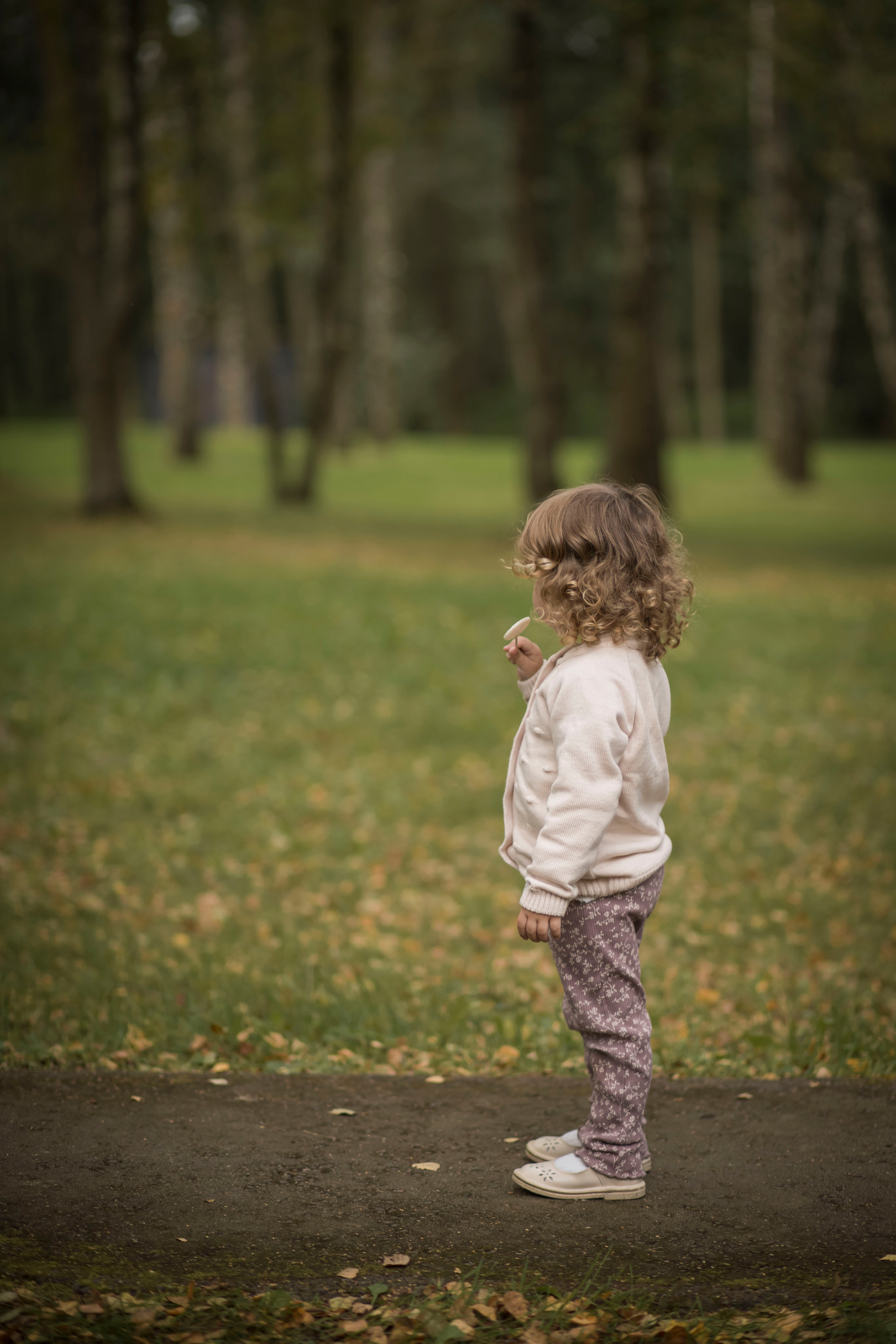 Парк отель Белые аллеи. Арт- фотограф Москва