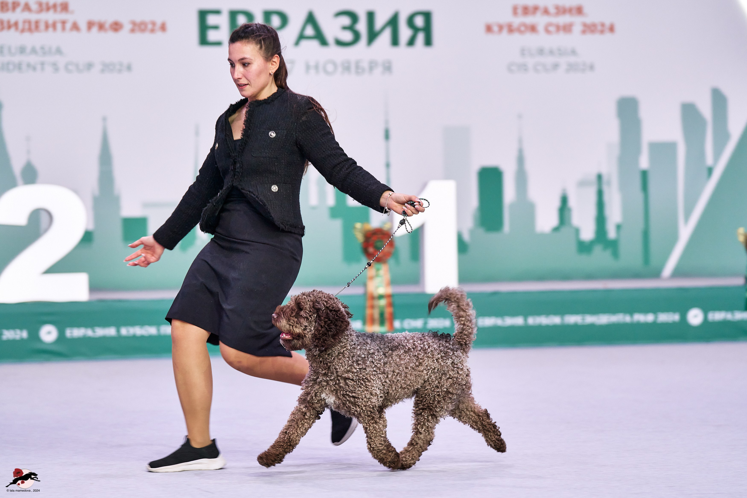 17.11.2024 «ЕВРАЗИЯ. КУБОК СНГ 2024»