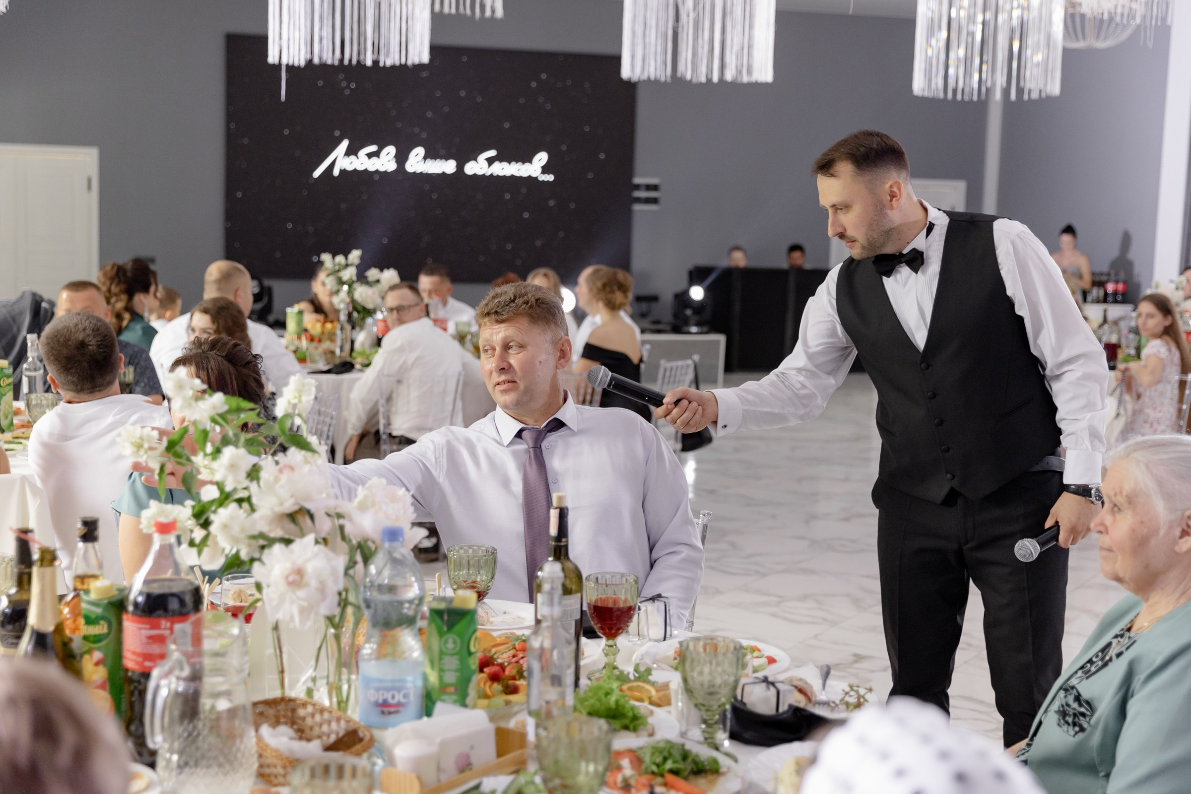 Свадьба пес и котики. Dima Lemeshevsky