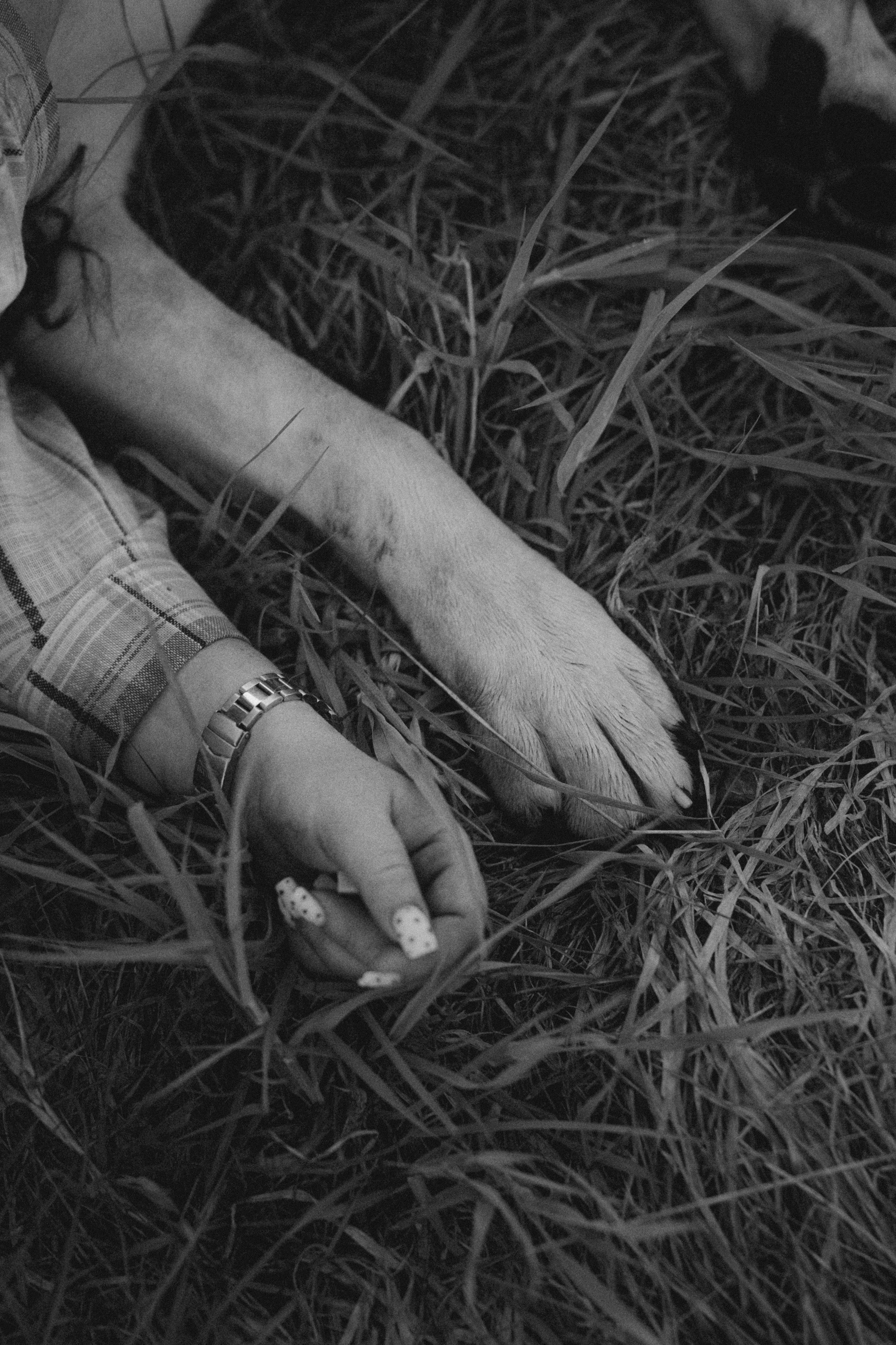 Настя и Рахат. Фотограф анималист в Москве и Санкт-Петербурге Свиридова Анна