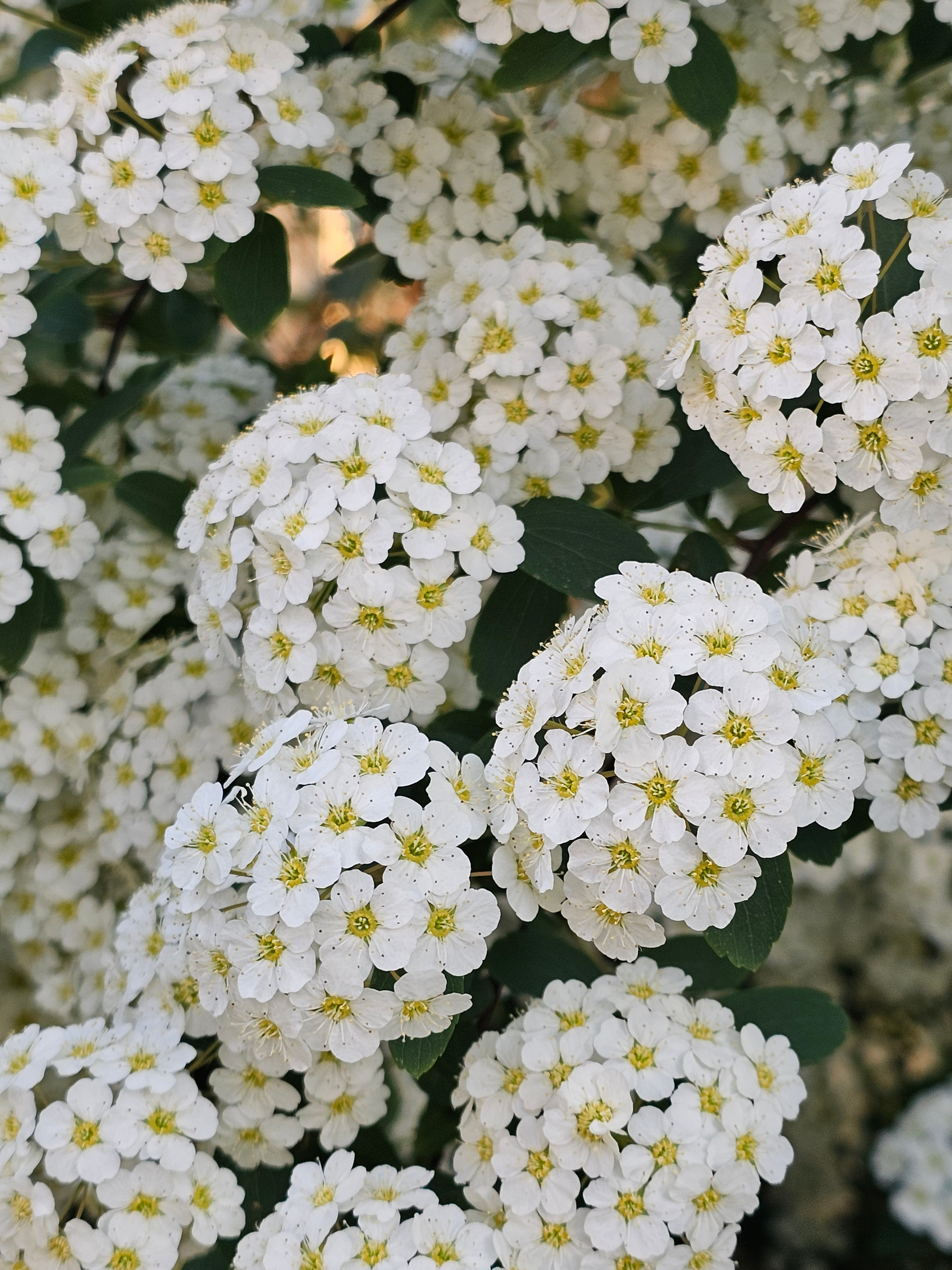 Эстетика, вдохновение, визуал. Бесплатные фото для сайтов, блогов, соцсетей и др., обои, заставки на мобильный телефон и рабочий стол. cc by-nc-sa