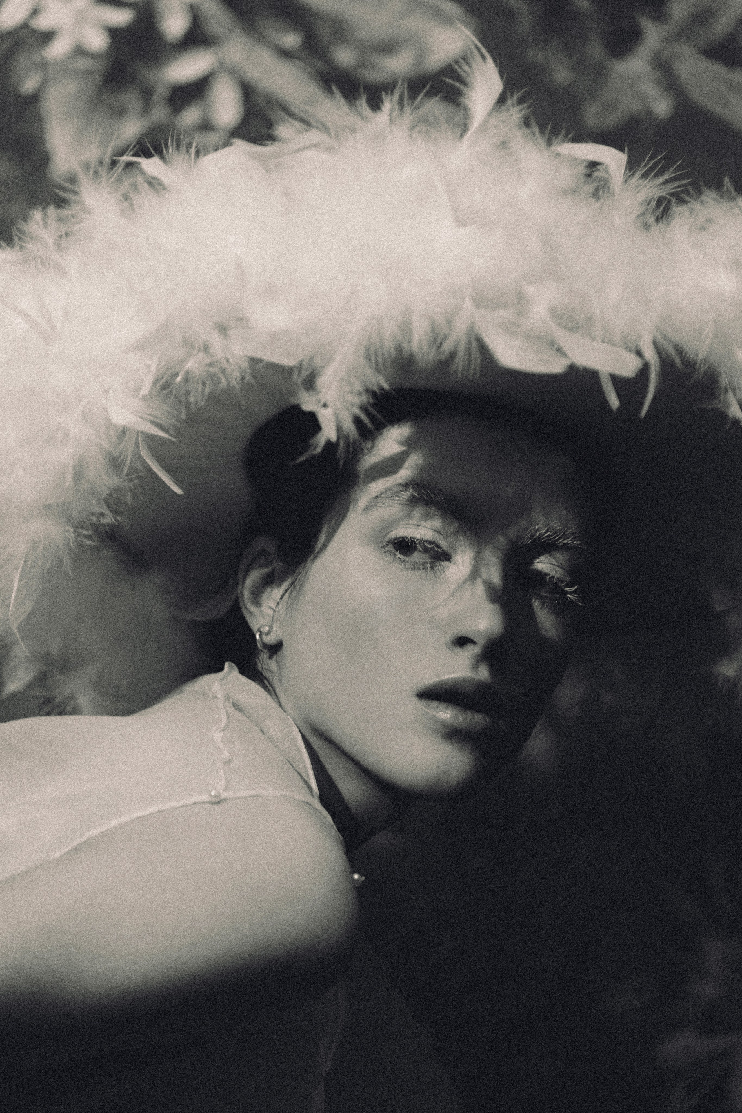 Птица. Фотограф Anita Mivchas