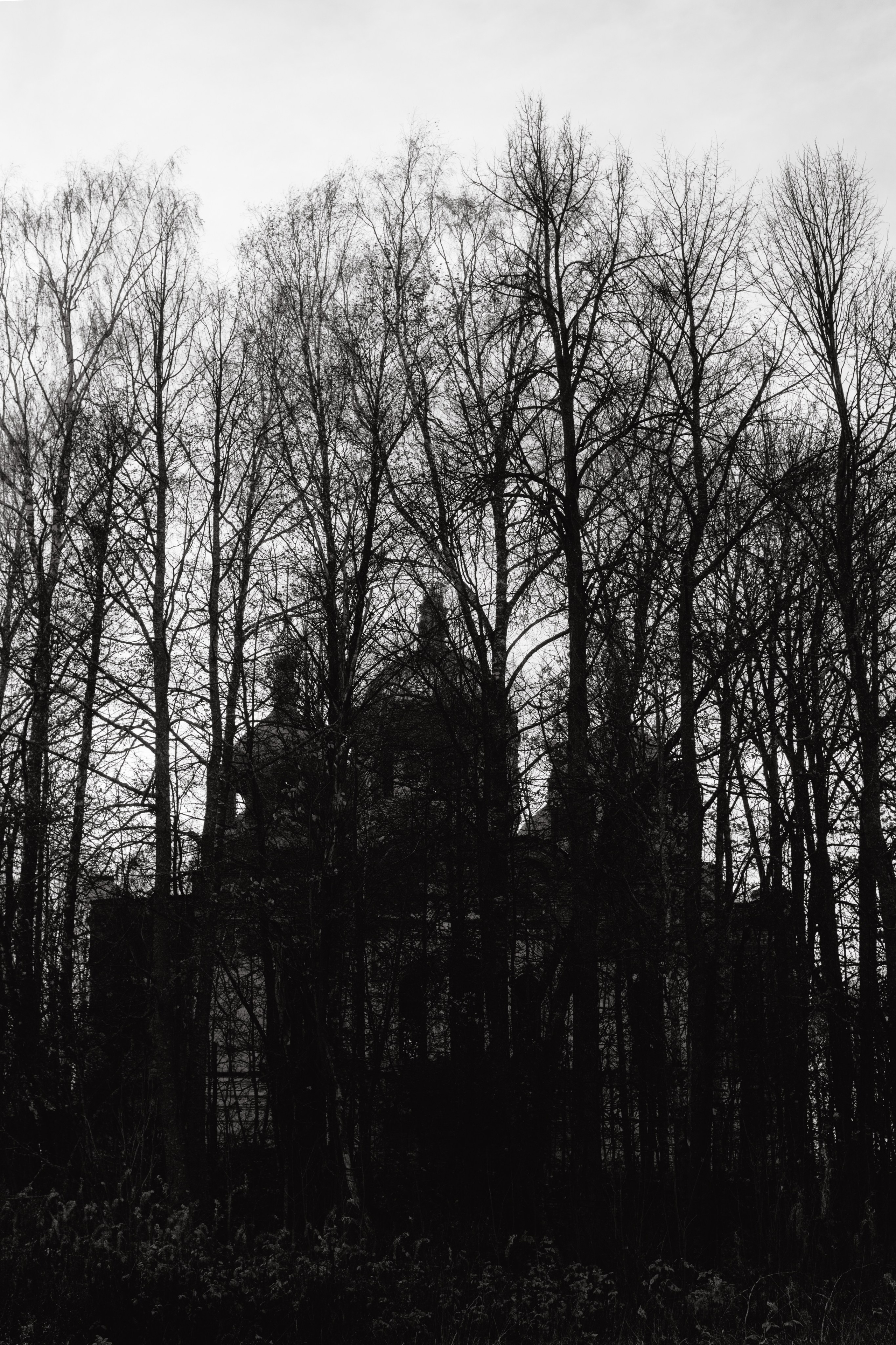 EXHIBITION. Репортажный и интерьерный фотограф, фотохудожник