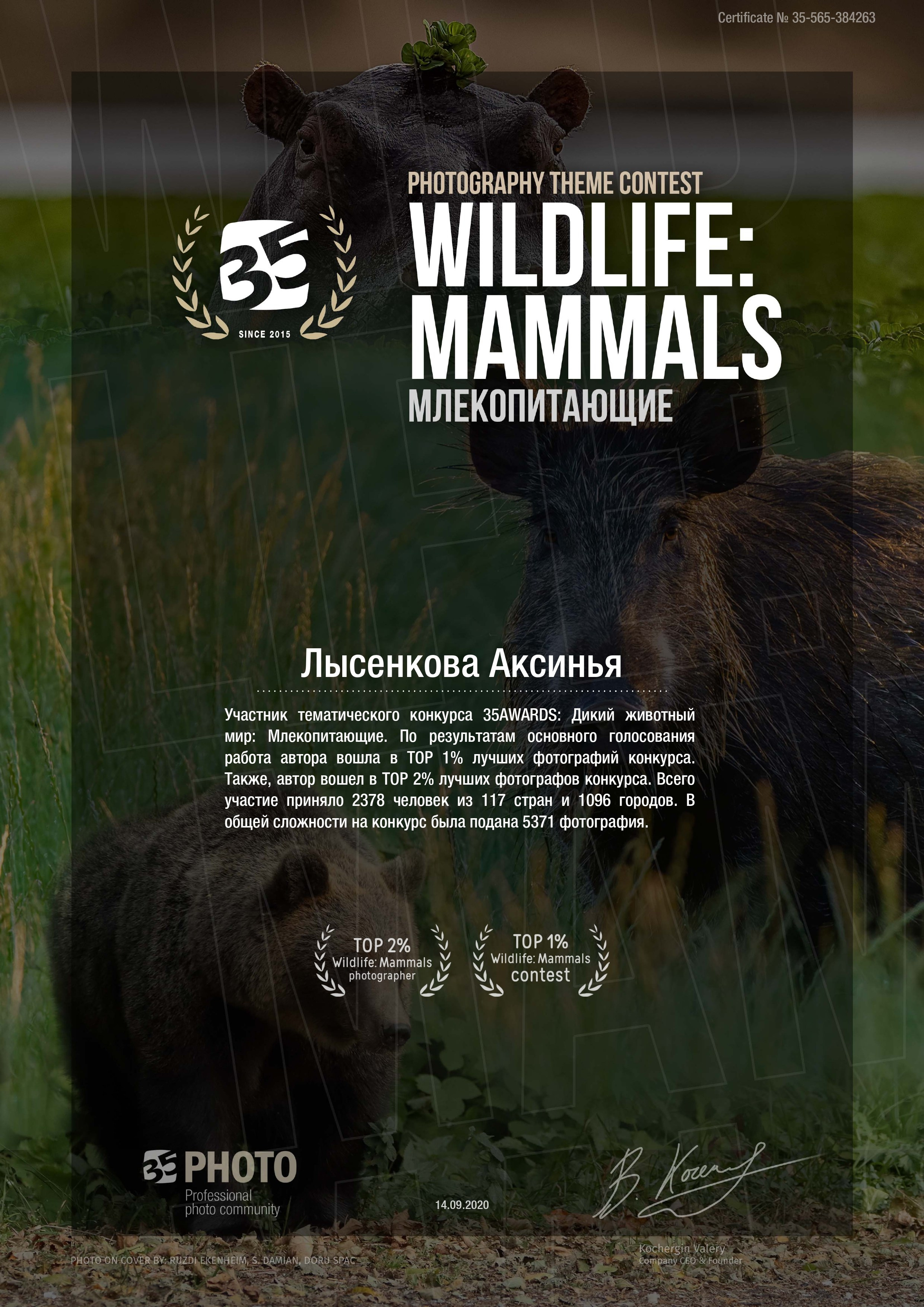 35 AWARDS. Детский, семейный фотограф в Ижевске и Москве Аксинья Лысенкова ADEN