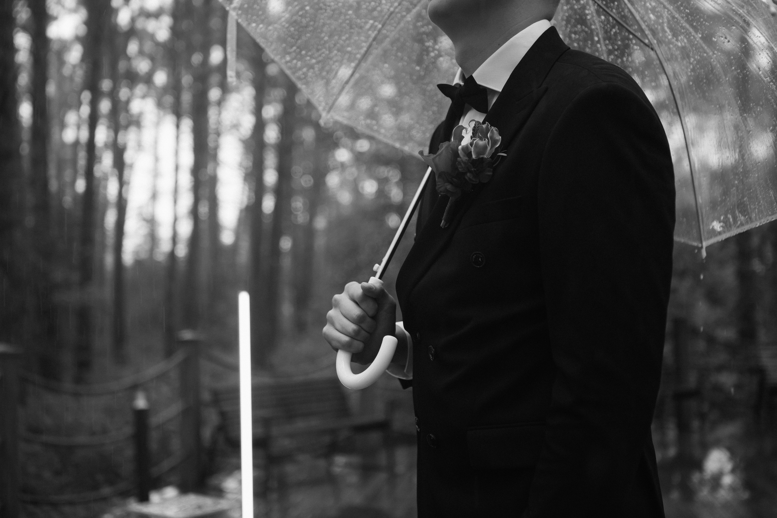 Свадебная выездная церемония. Главная