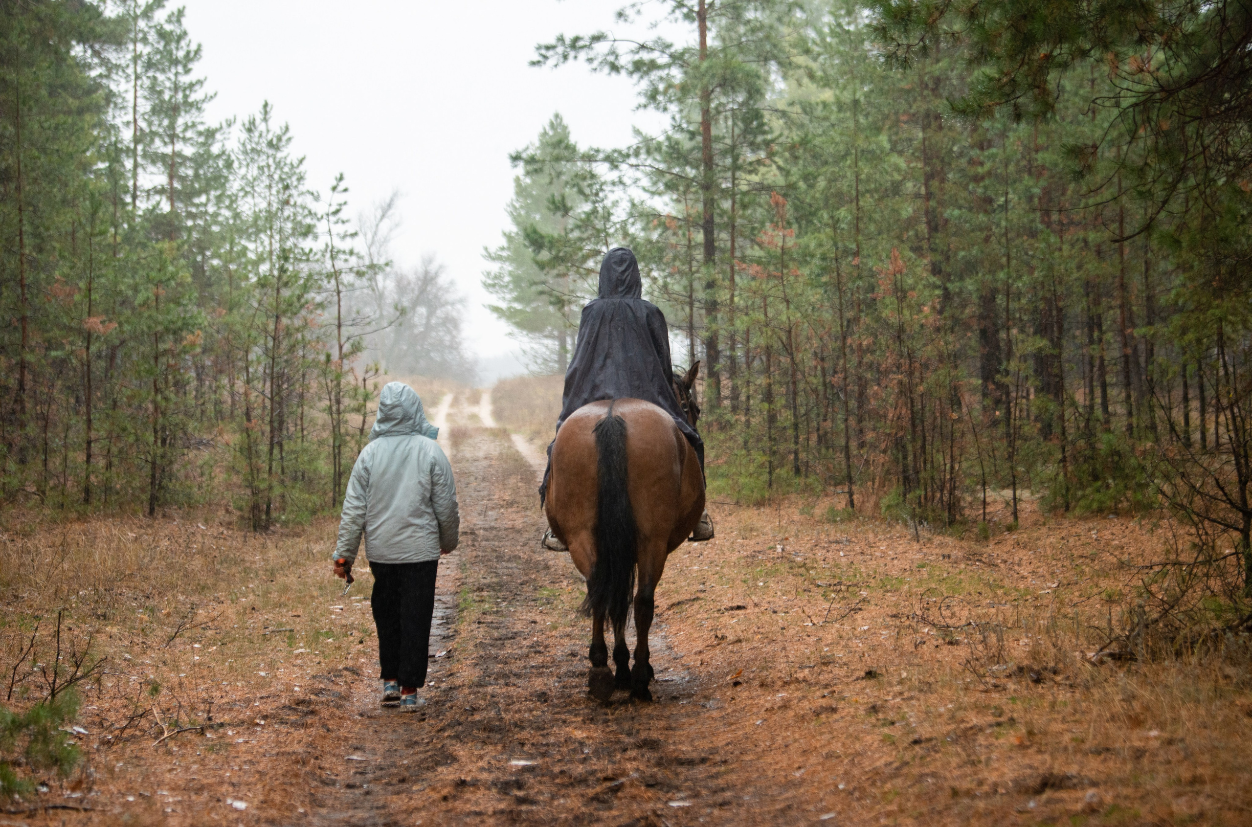 Конный лагерь в Родославном. Конный фотограф в Саратове Юлия Иванова