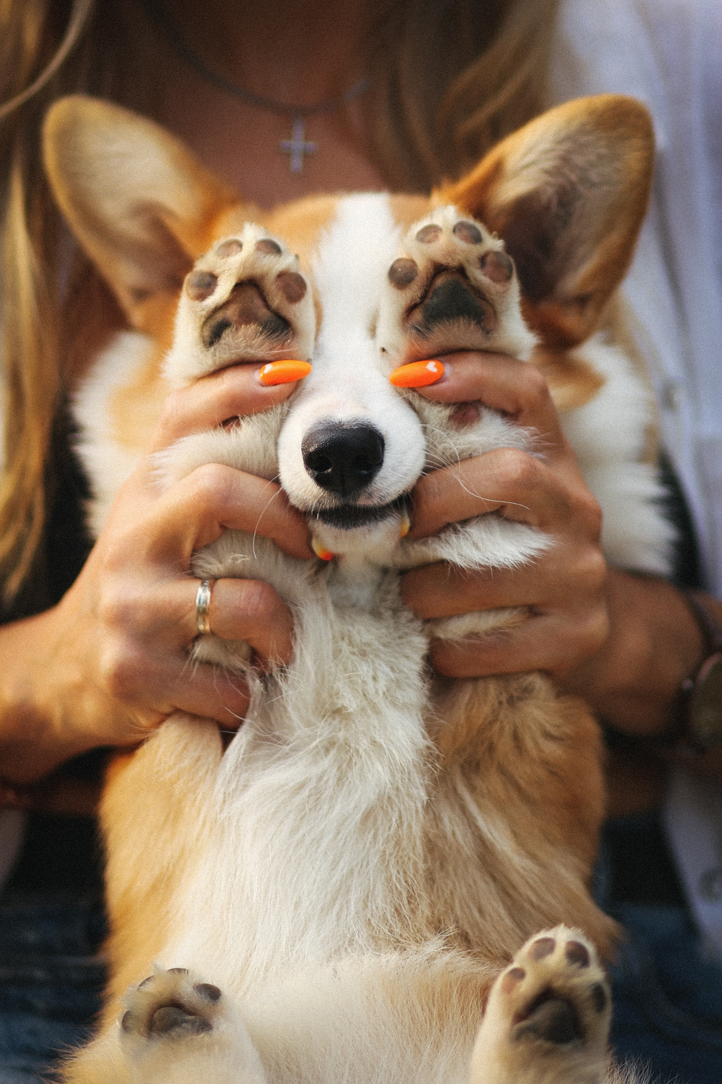 Летняя фотосессия фотосессия с собакой корги мама и дети. Фотограф Владимир Москва