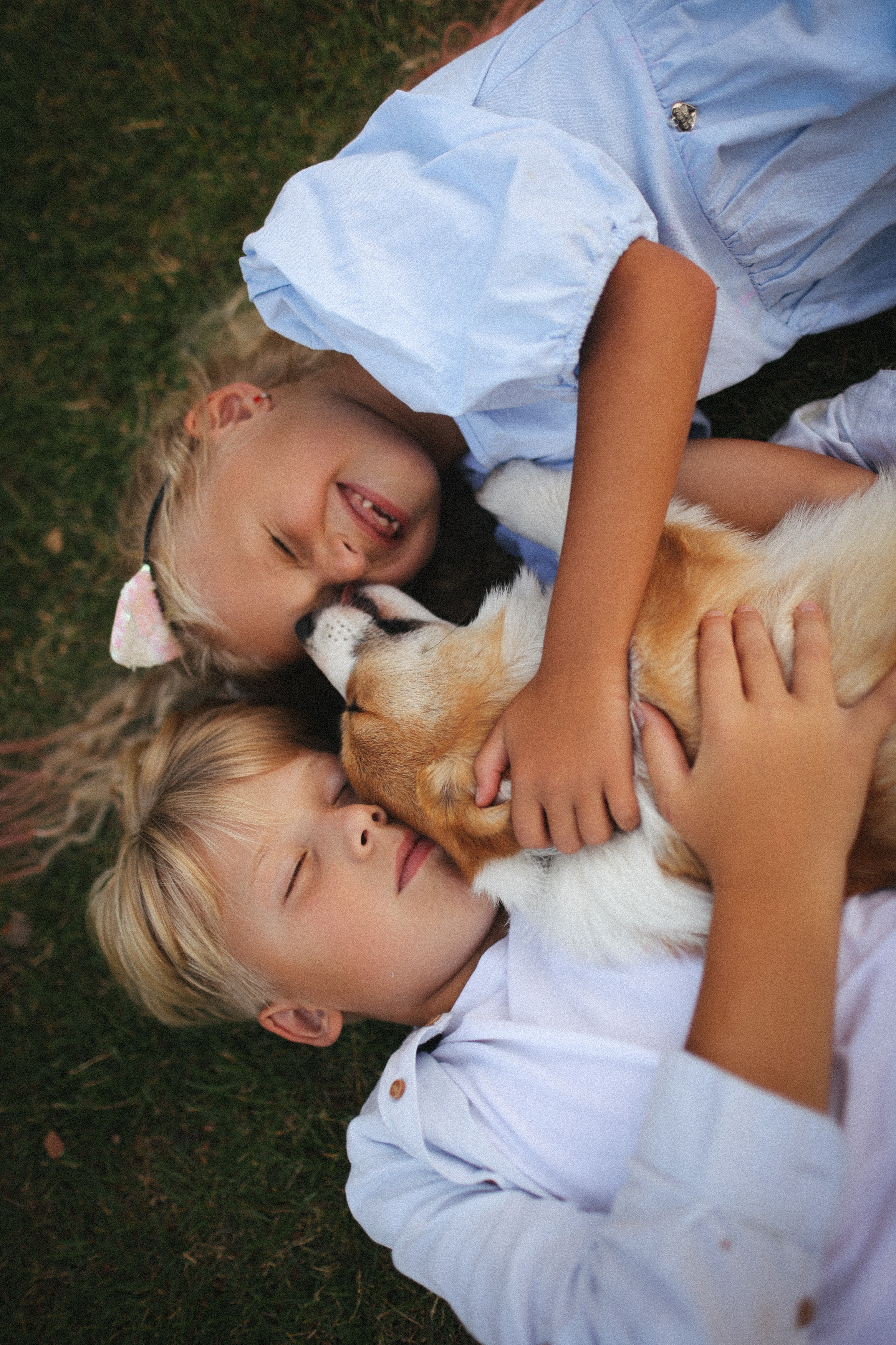 Летняя фотосессия фотосессия с собакой корги мама и дети. Фотограф Владимир Москва