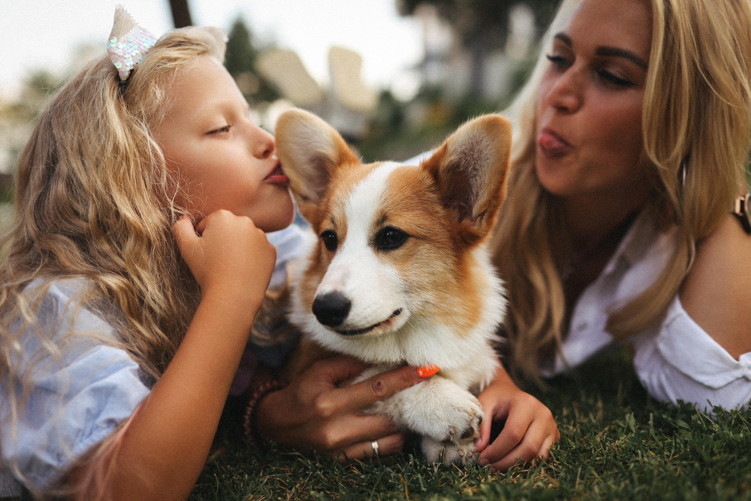 Летняя фотосессия фотосессия с собакой корги мама и дети. Фотограф Владимир Москва